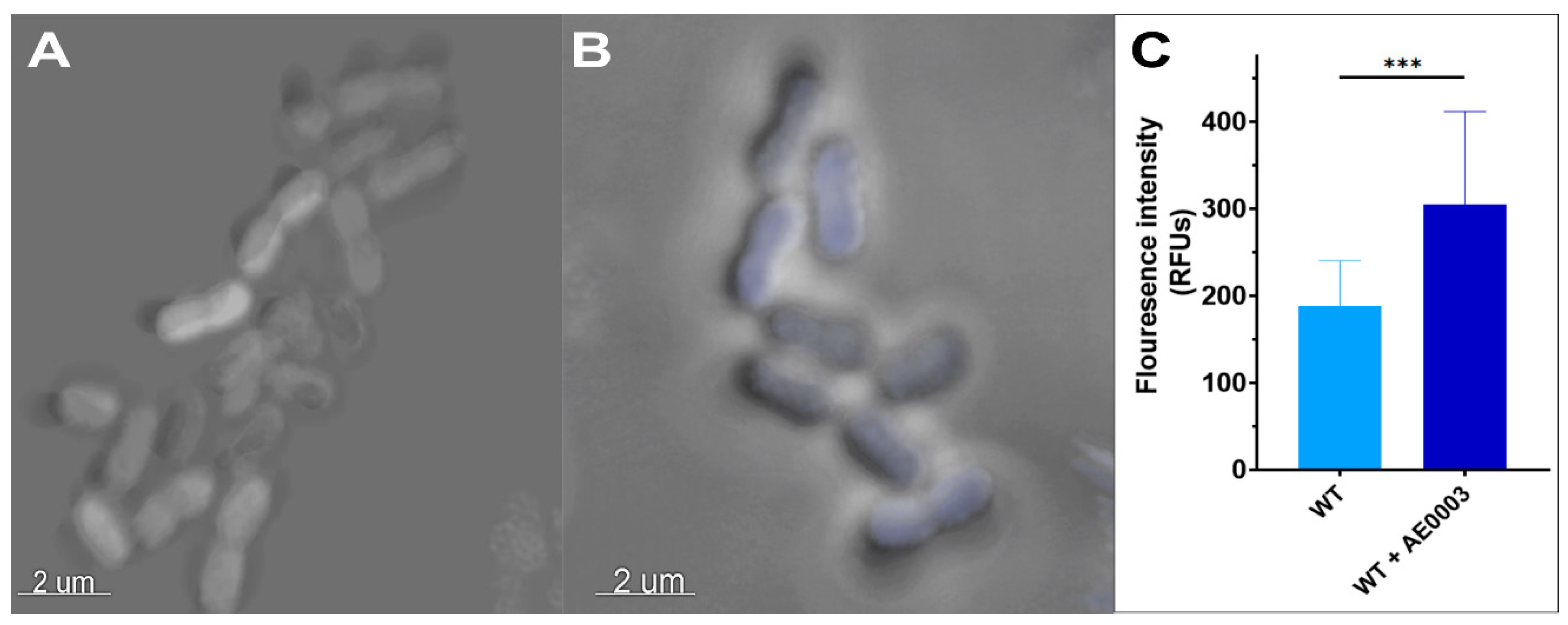 Antibiotics 12 01173 g006 Antibiotics 12 01173 g006