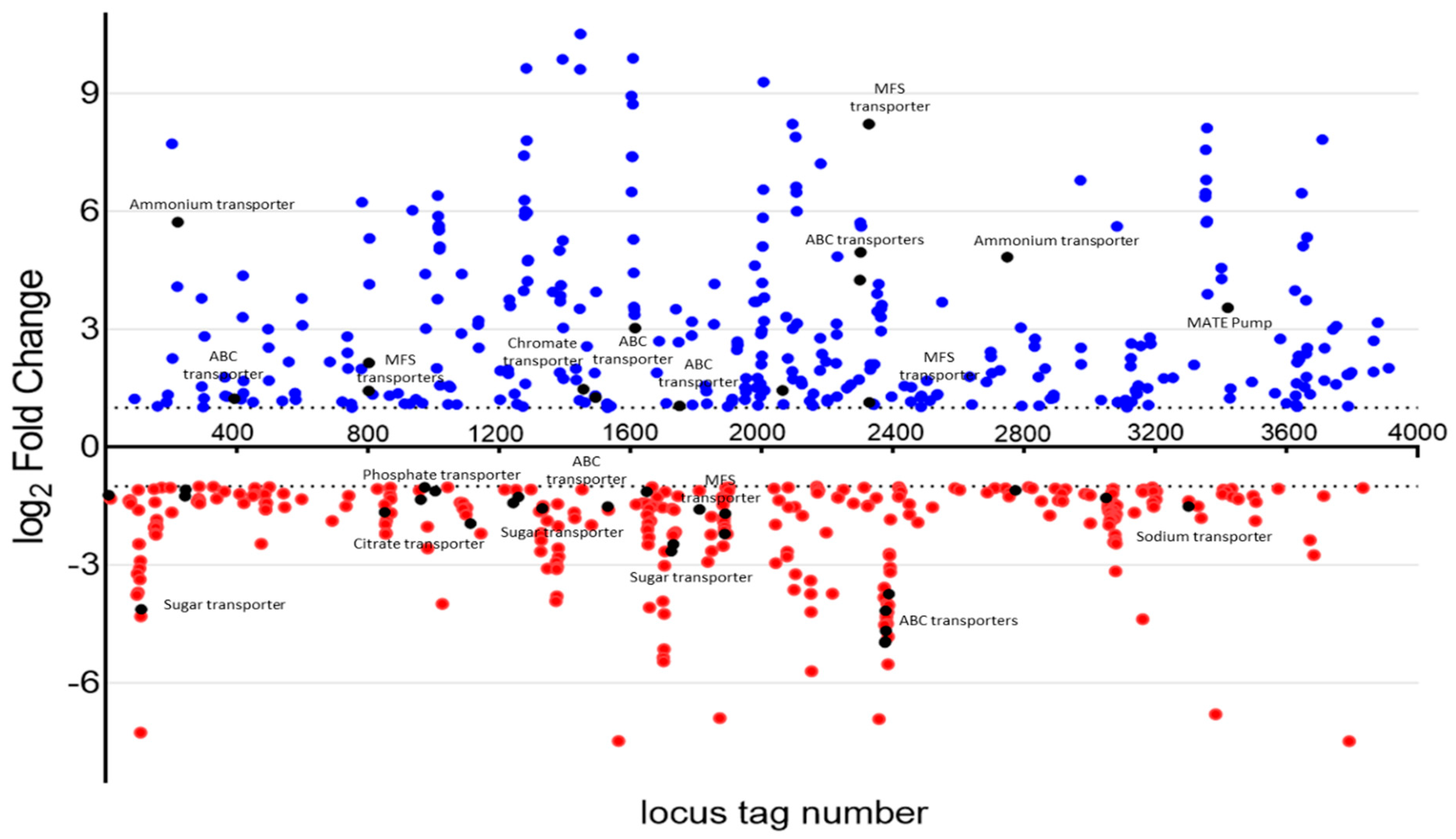 Antibiotics 12 01173 g009 Antibiotics 12 01173 g009