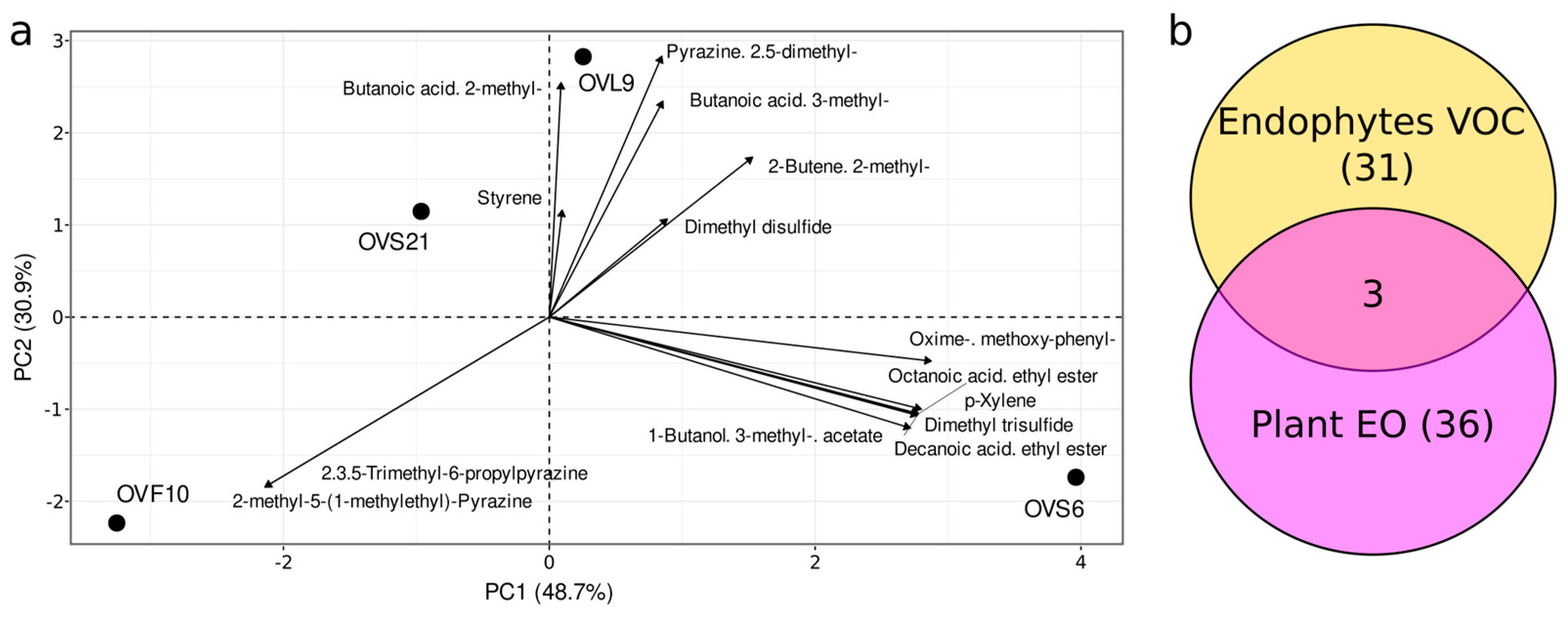 Antibiotics 12 01179 g001 Antibiotics 12 01179 g001