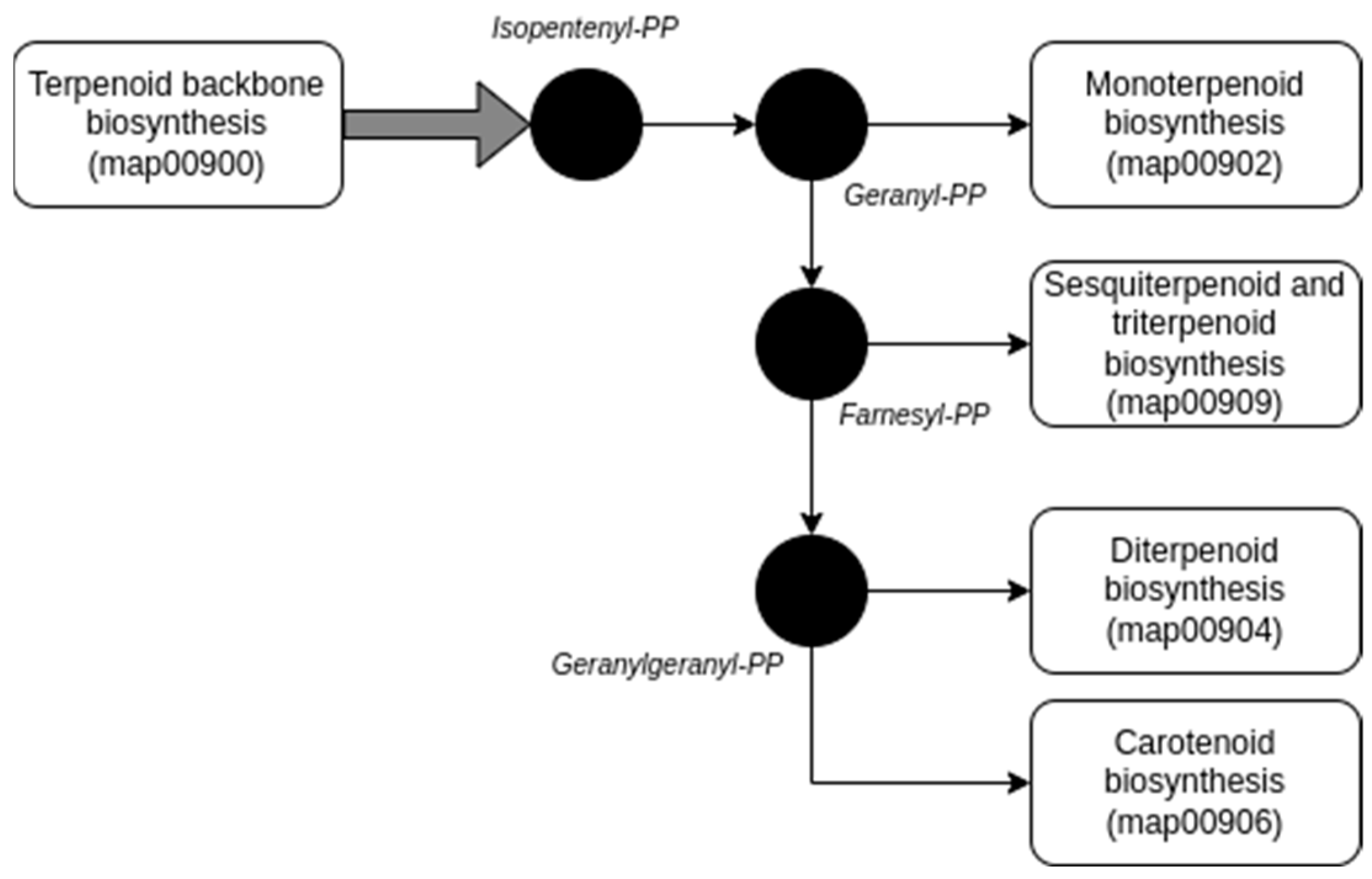 Antibiotics 12 01179 sch001 Antibiotics 12 01179 sch001