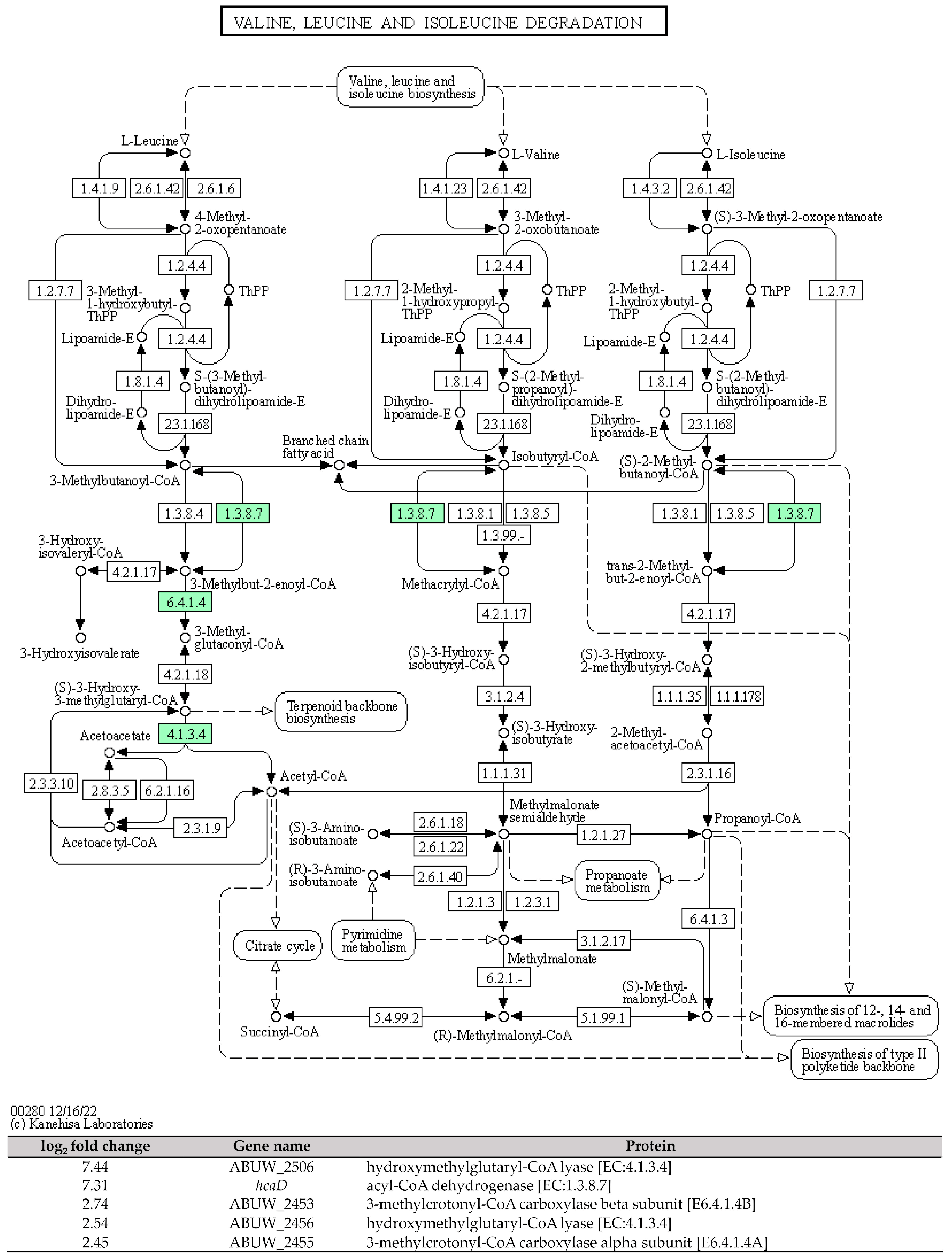 Antibiotics 12 01185 g004 Antibiotics 12 01185 g004