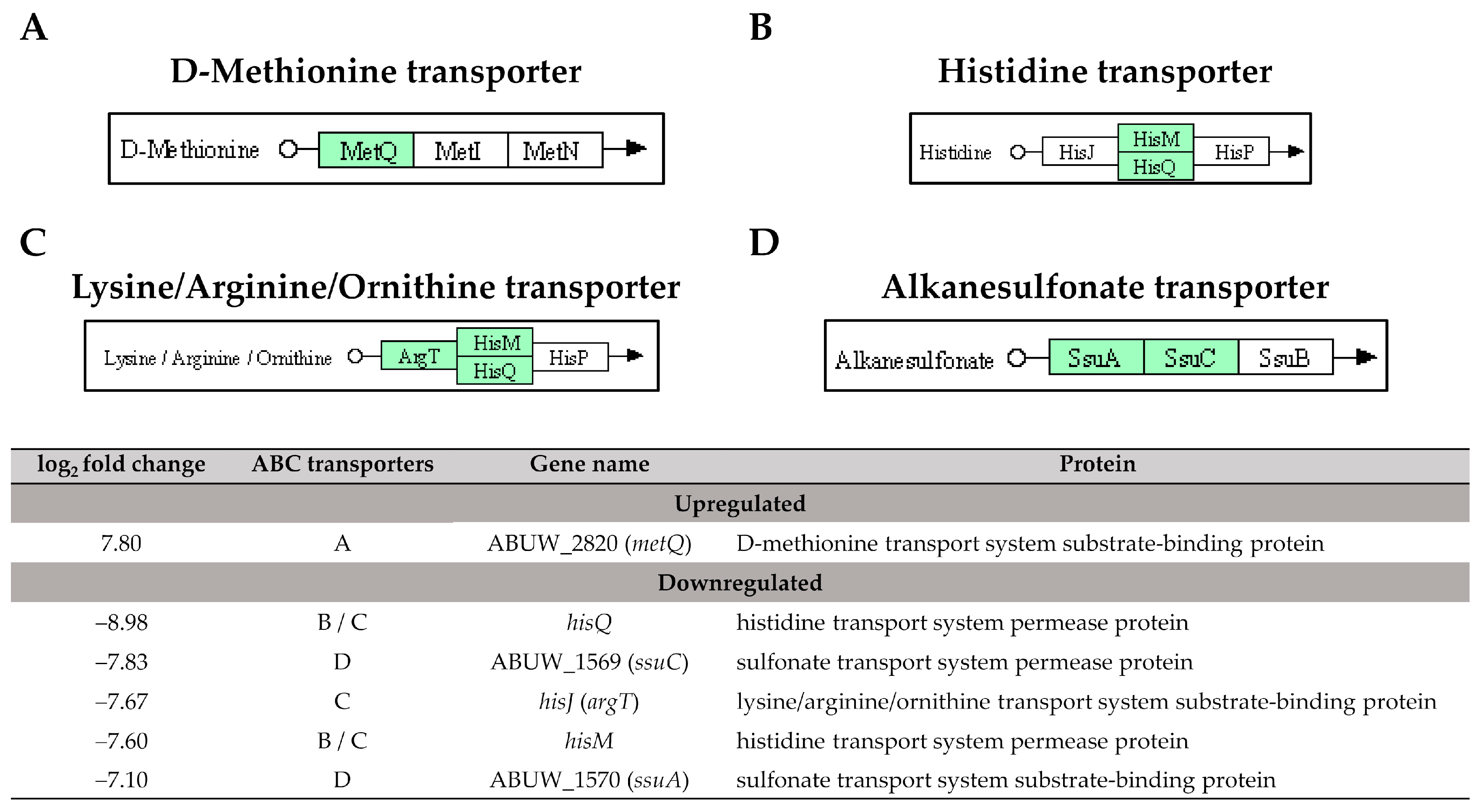 Antibiotics 12 01185 g007 Antibiotics 12 01185 g007
