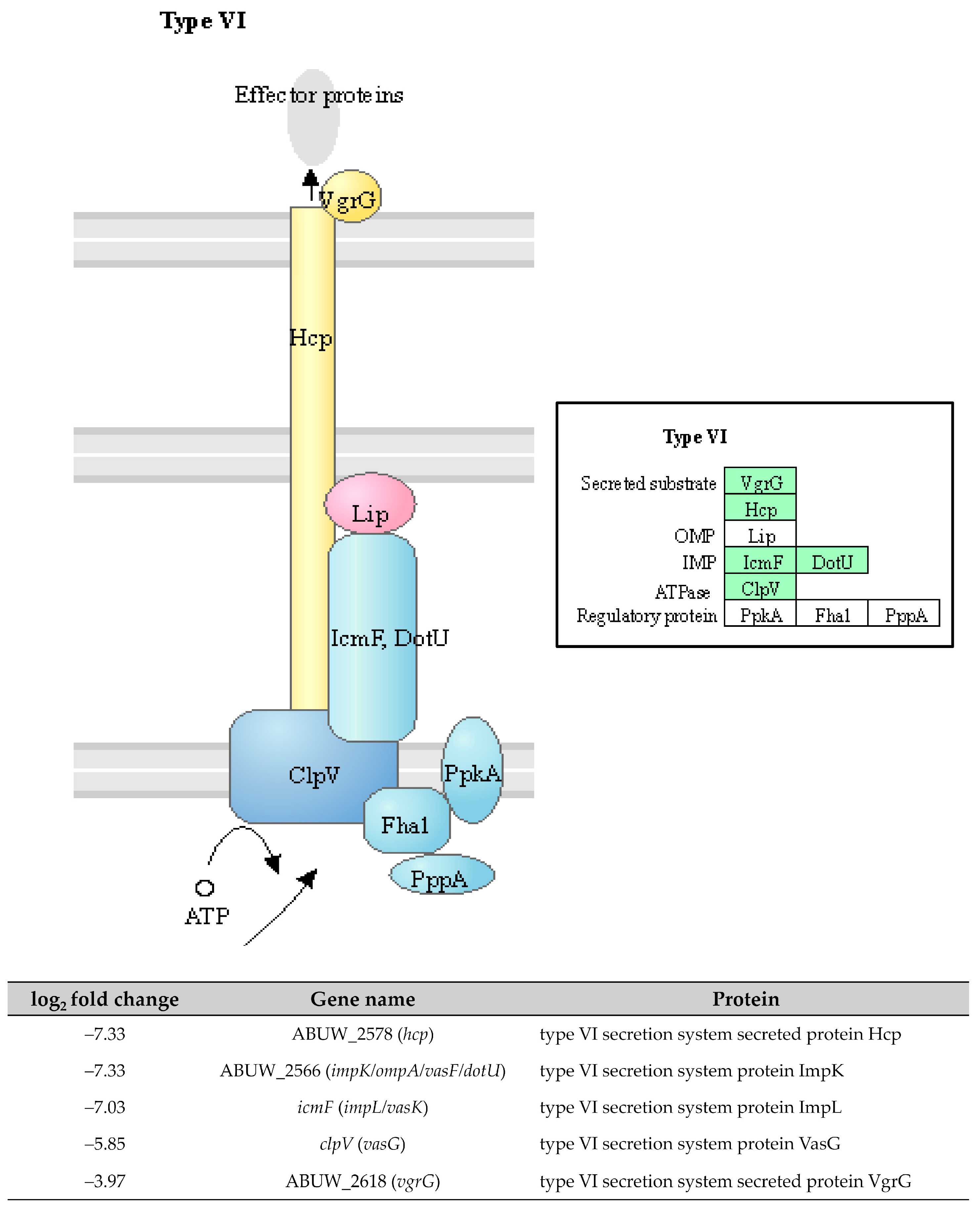 Antibiotics 12 01185 g008 Antibiotics 12 01185 g008