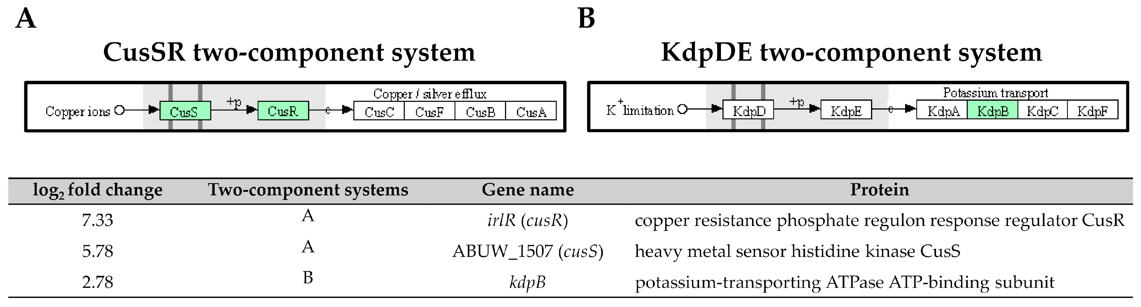 Antibiotics 12 01185 g009 Antibiotics 12 01185 g009