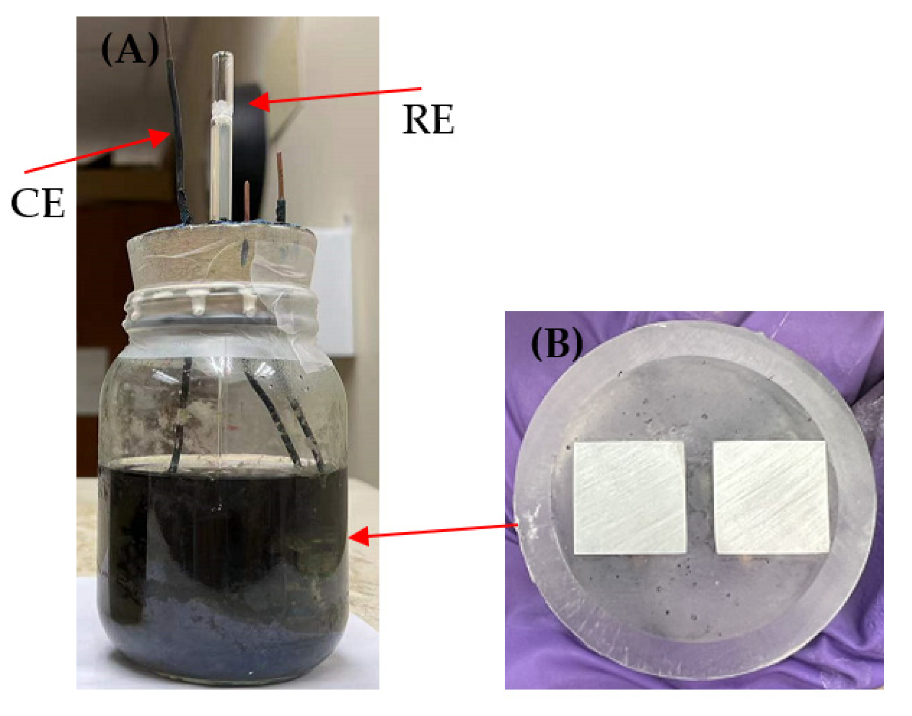 Antibiotics 12 01194 g014