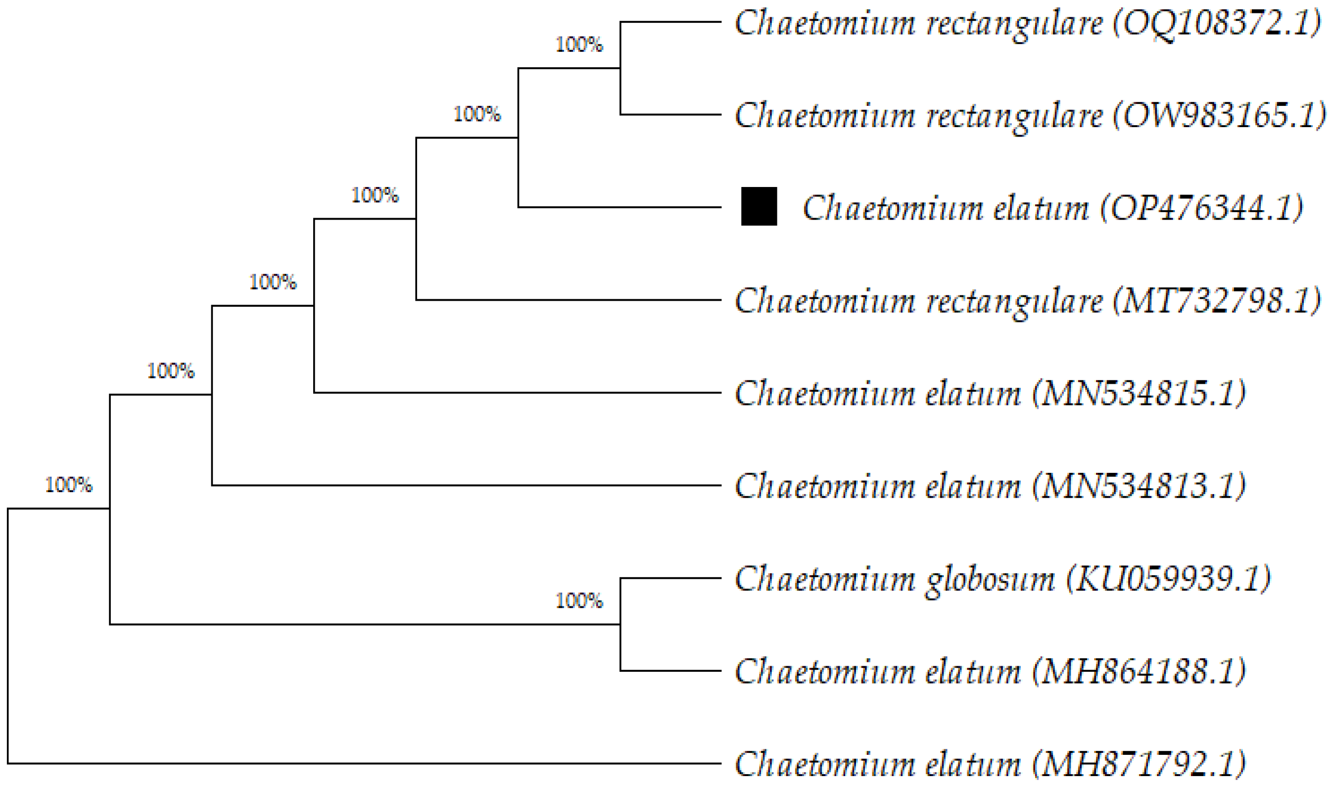 antibiotics-free-full-text-antimicrobial-and-cytotoxic-activities