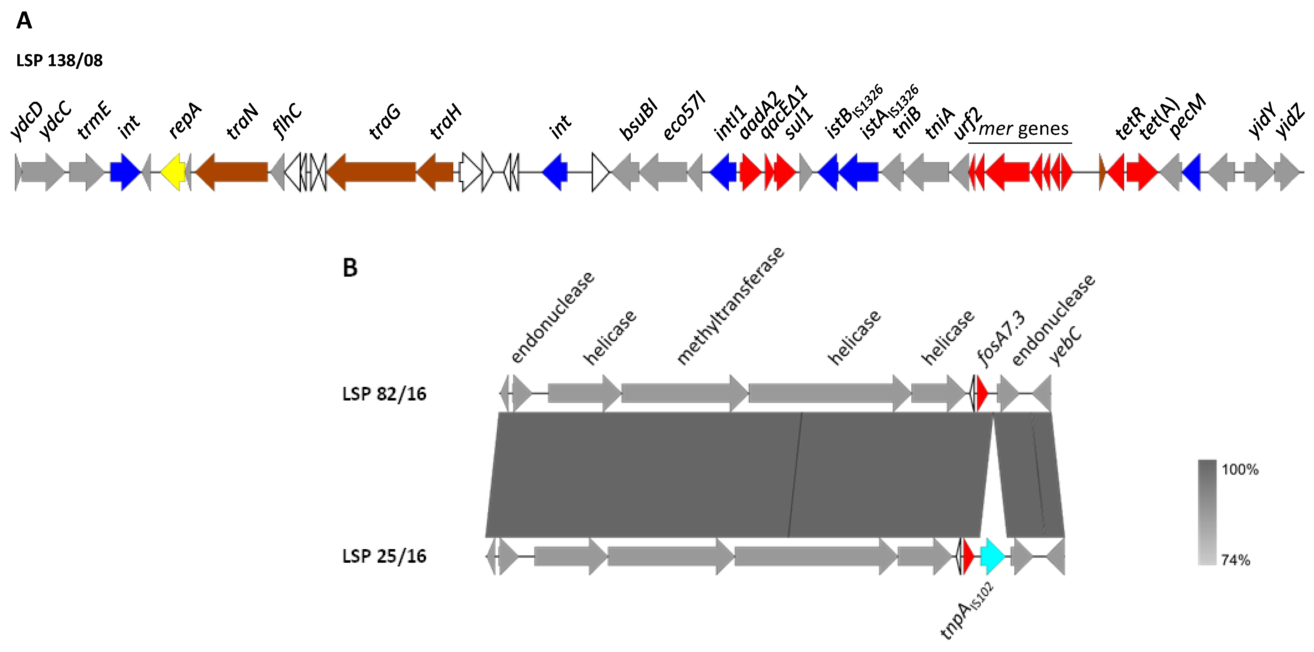 Antibiotics 12 01204 g001 Antibiotics 12 01204 g001