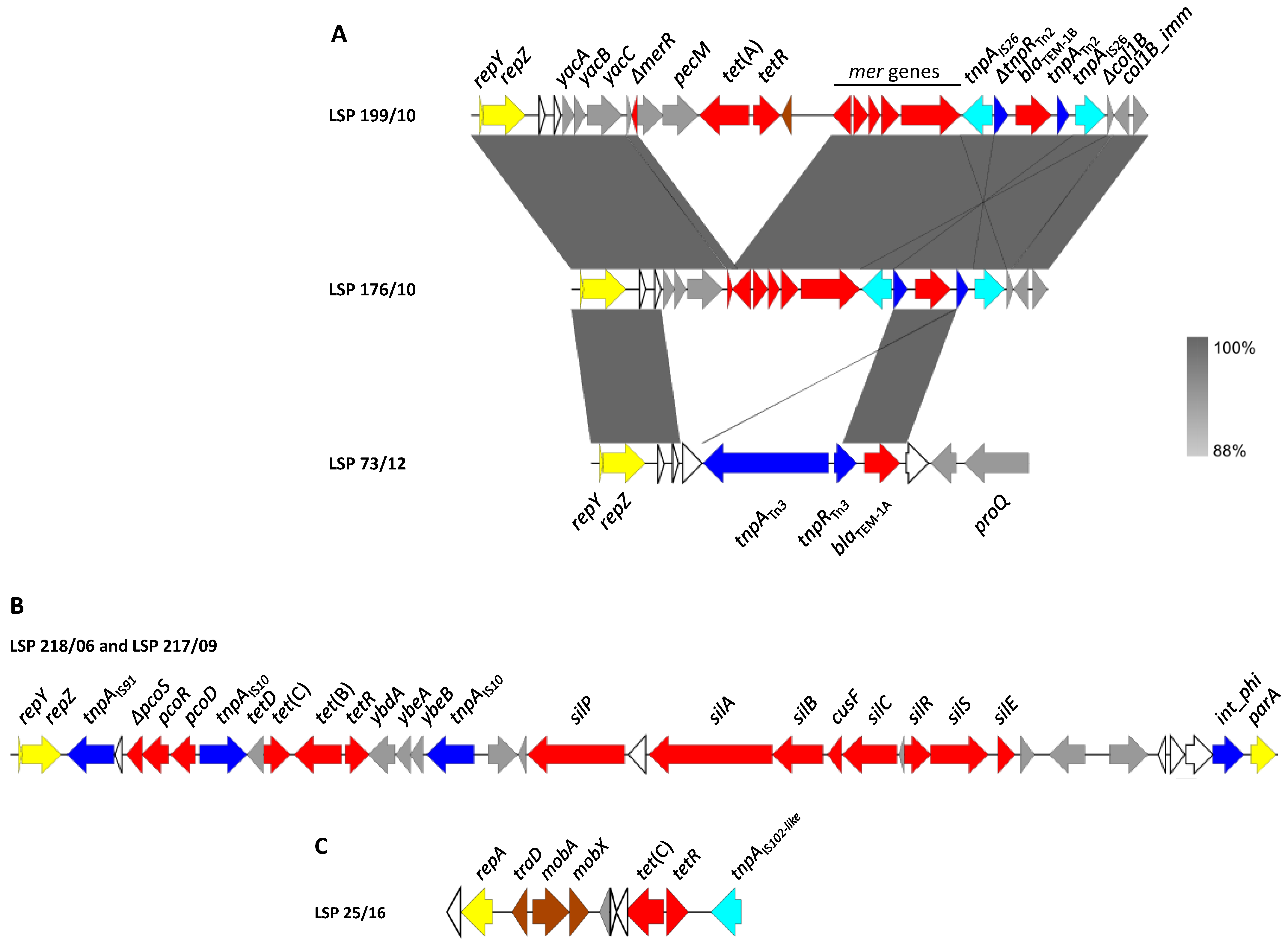 Antibiotics 12 01204 g002 Antibiotics 12 01204 g002