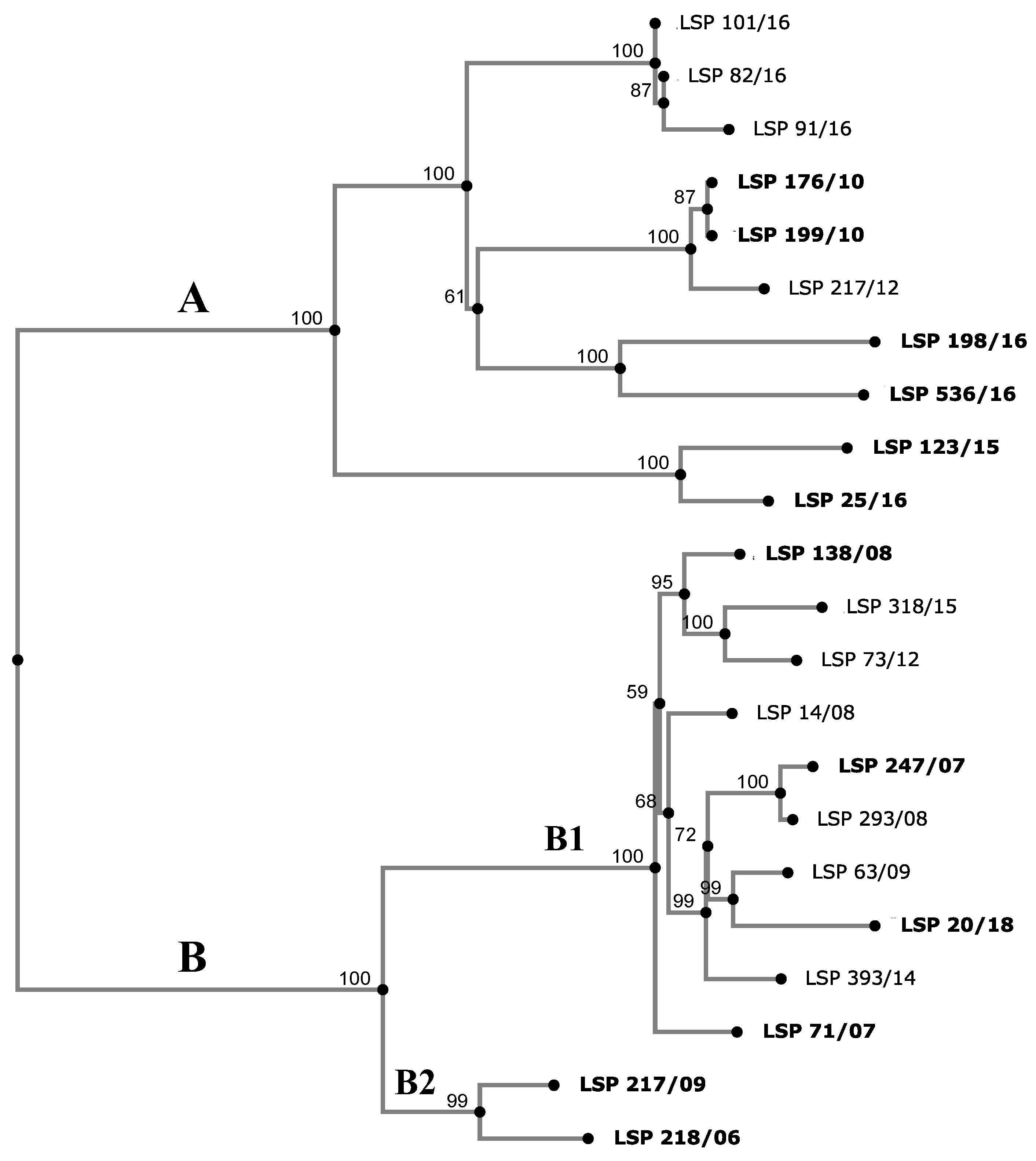 Antibiotics 12 01204 g003 Antibiotics 12 01204 g003