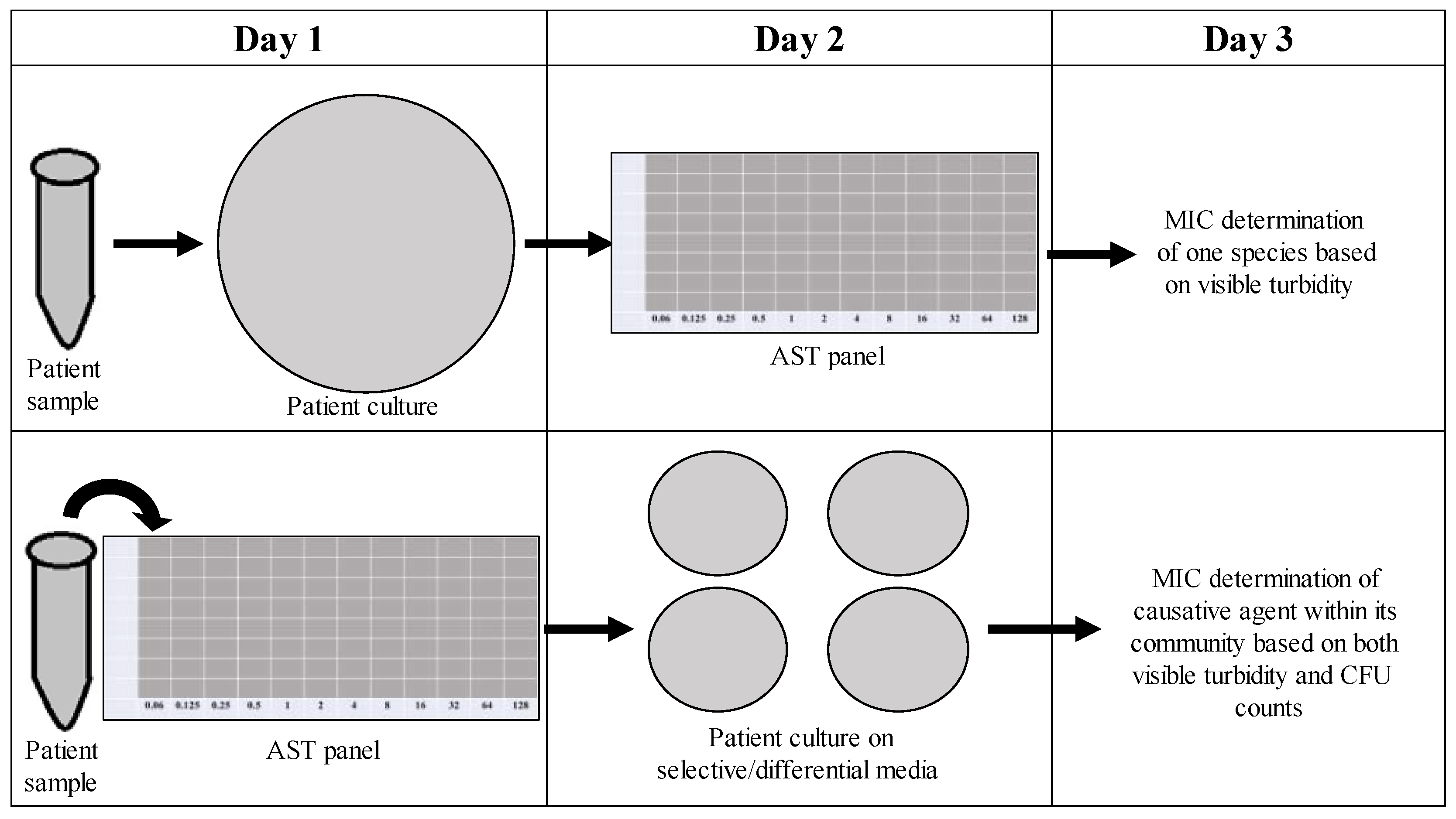 Antibiotics 12 01207 g010