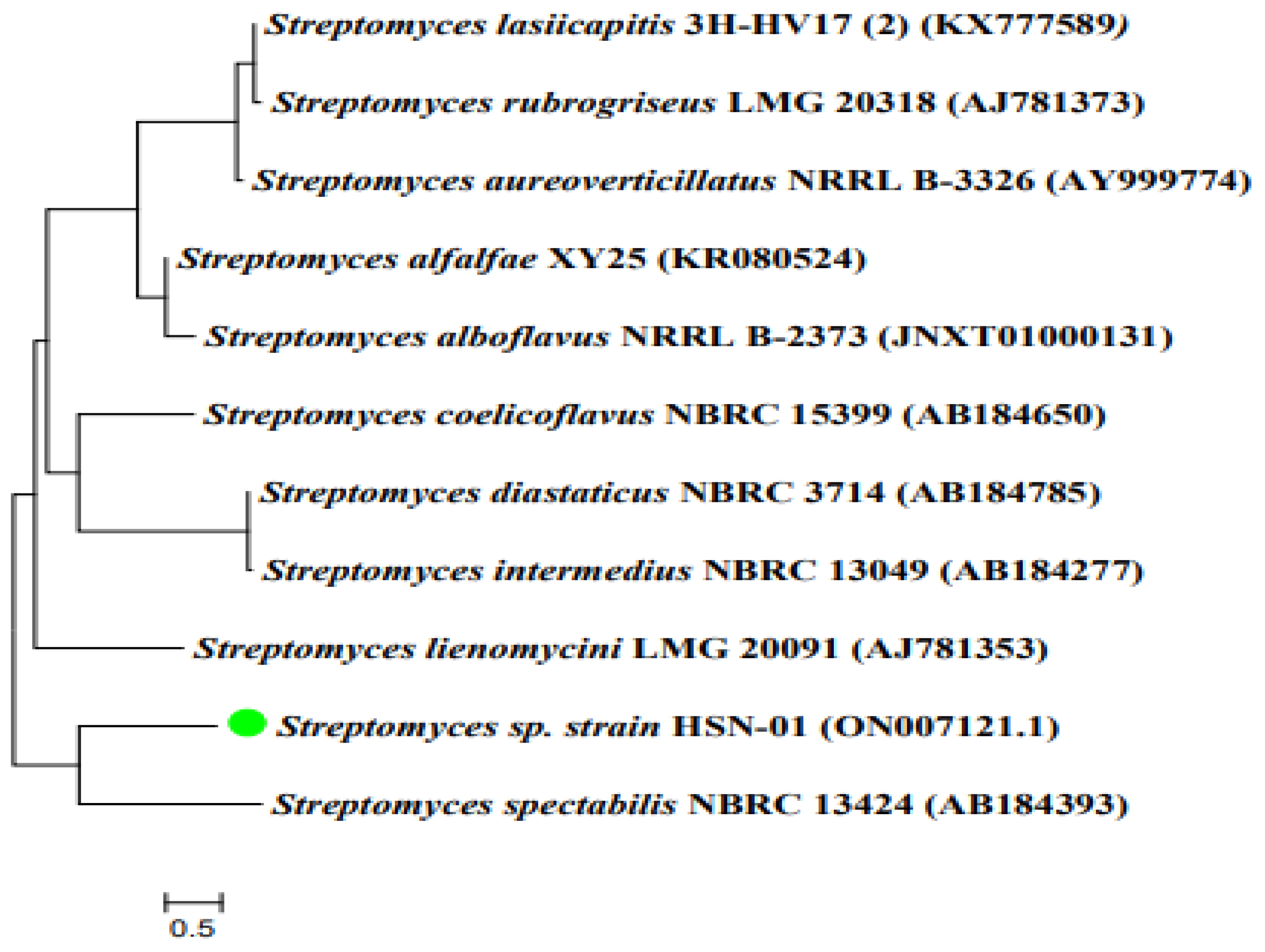 Antibiotics 12 01211 g001 Antibiotics 12 01211 g001