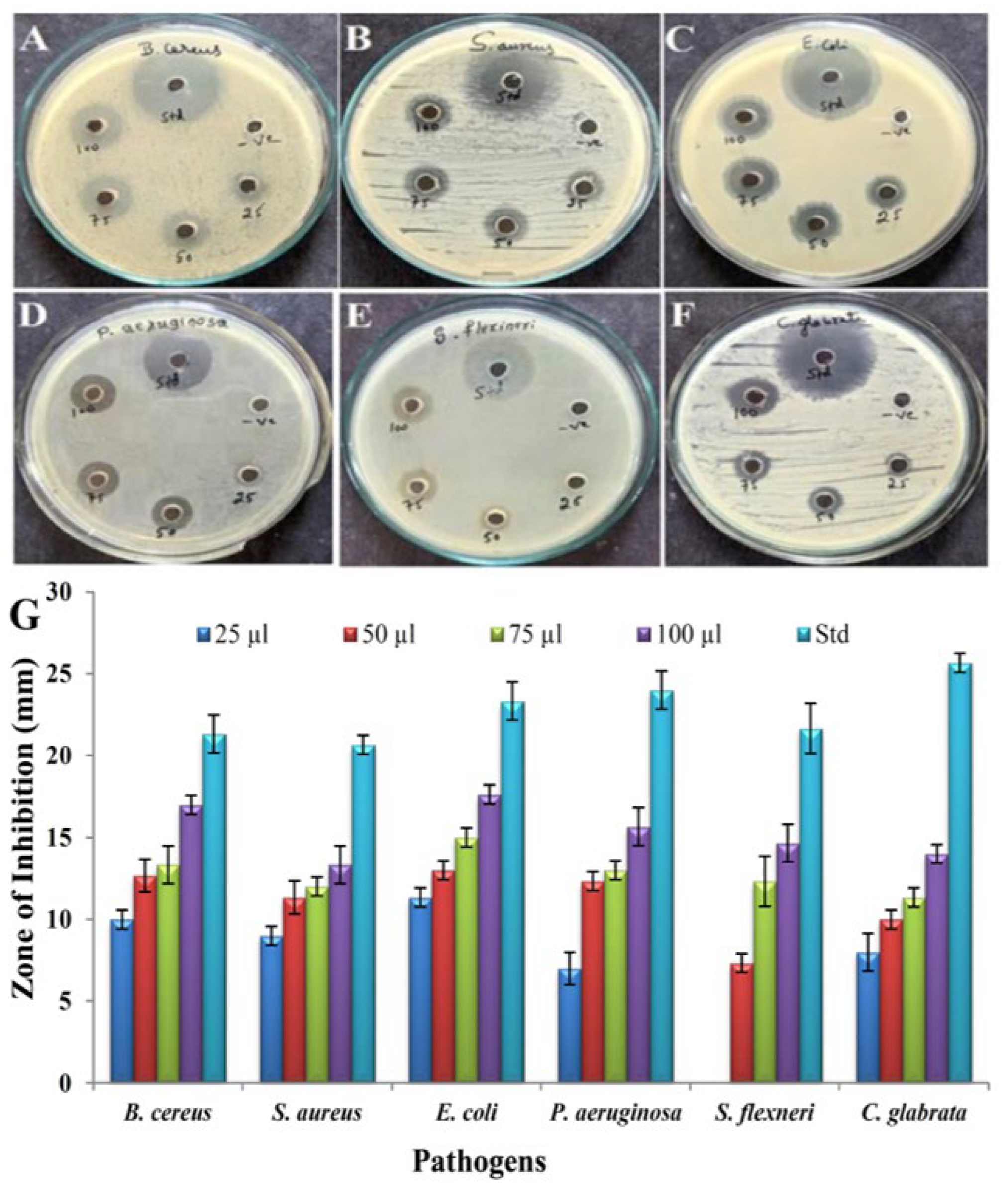 Antibiotics 12 01211 g010 Antibiotics 12 01211 g010