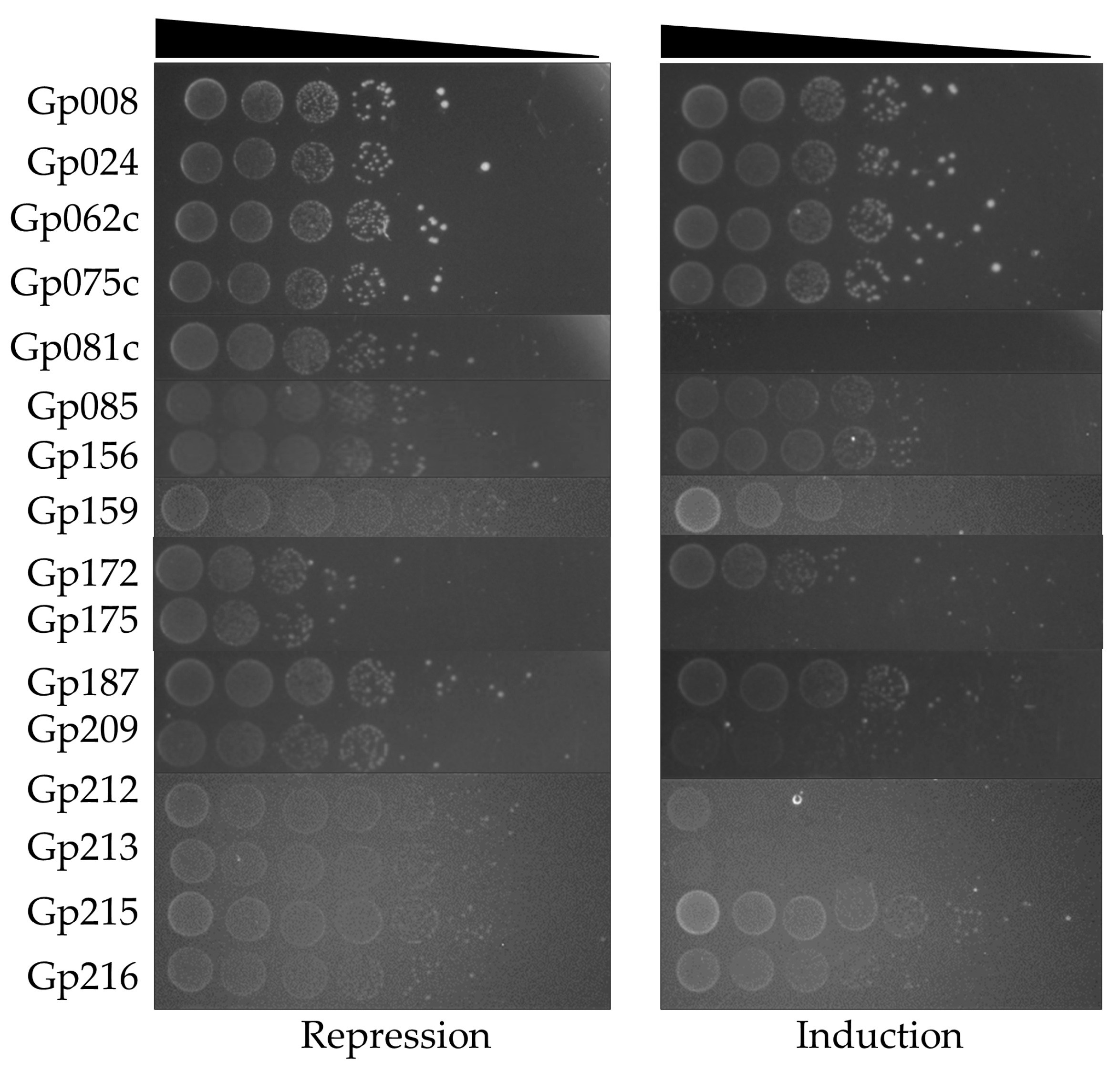 Antibiotics 12 01213 g002
