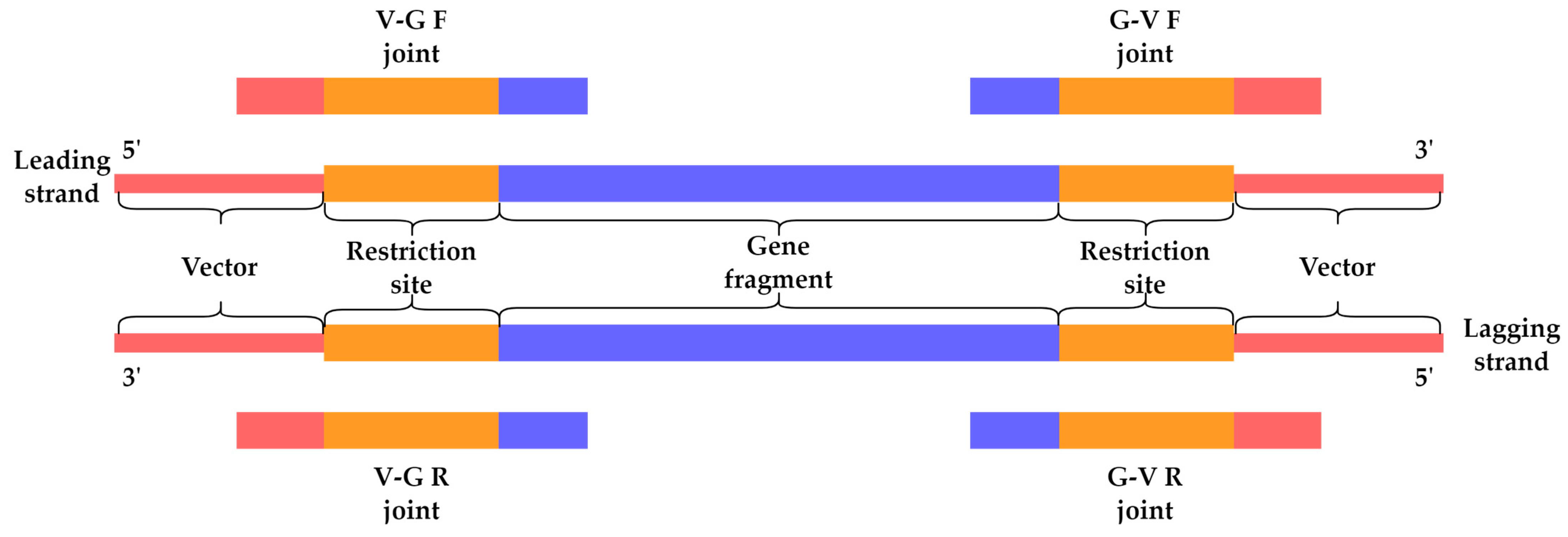 Antibiotics 12 01213 g007