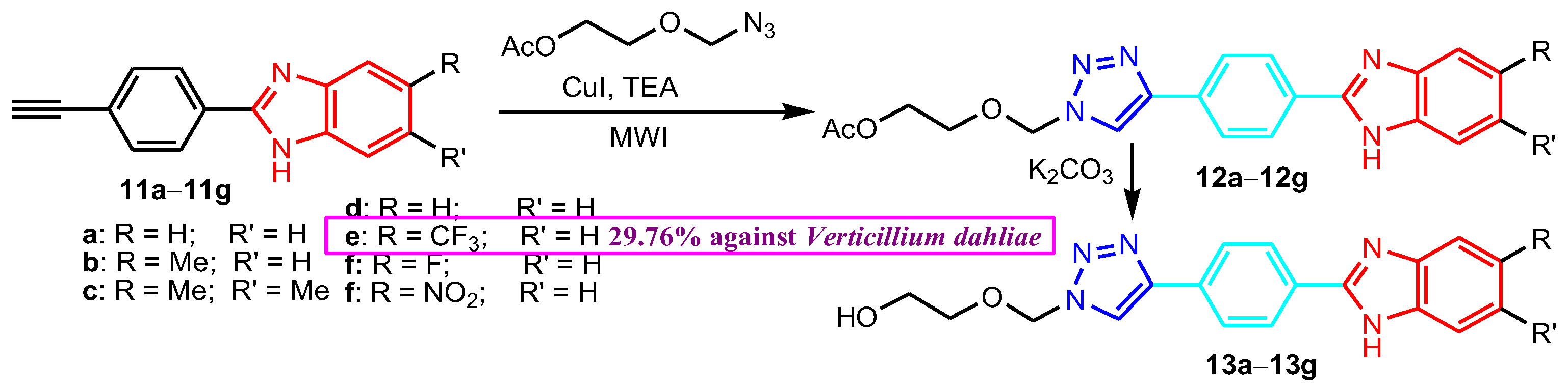 Antibiotics 12 01220 sch004 Antibiotics 12 01220 sch004