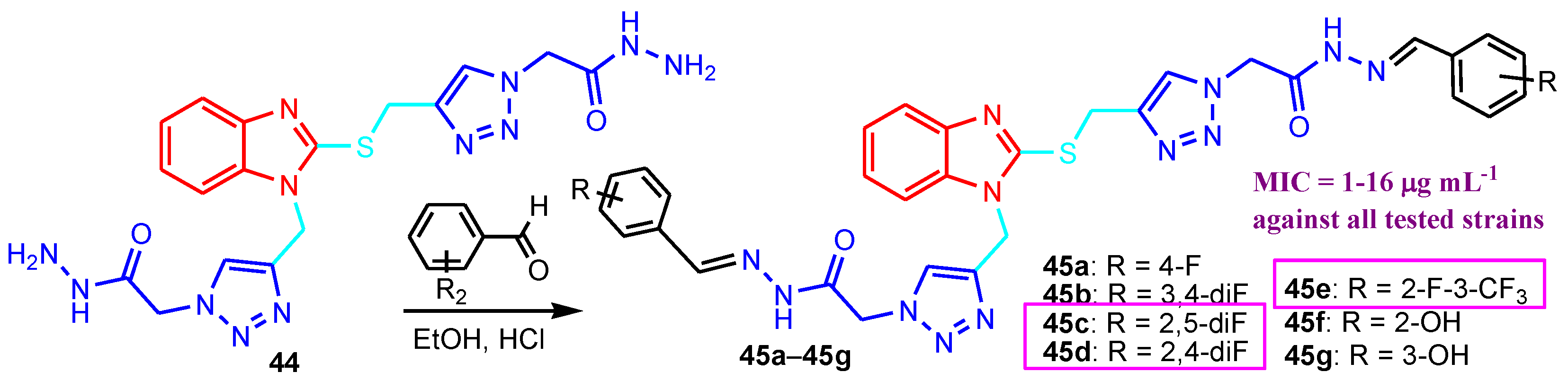 Antibiotics 12 01220 sch012 Antibiotics 12 01220 sch012