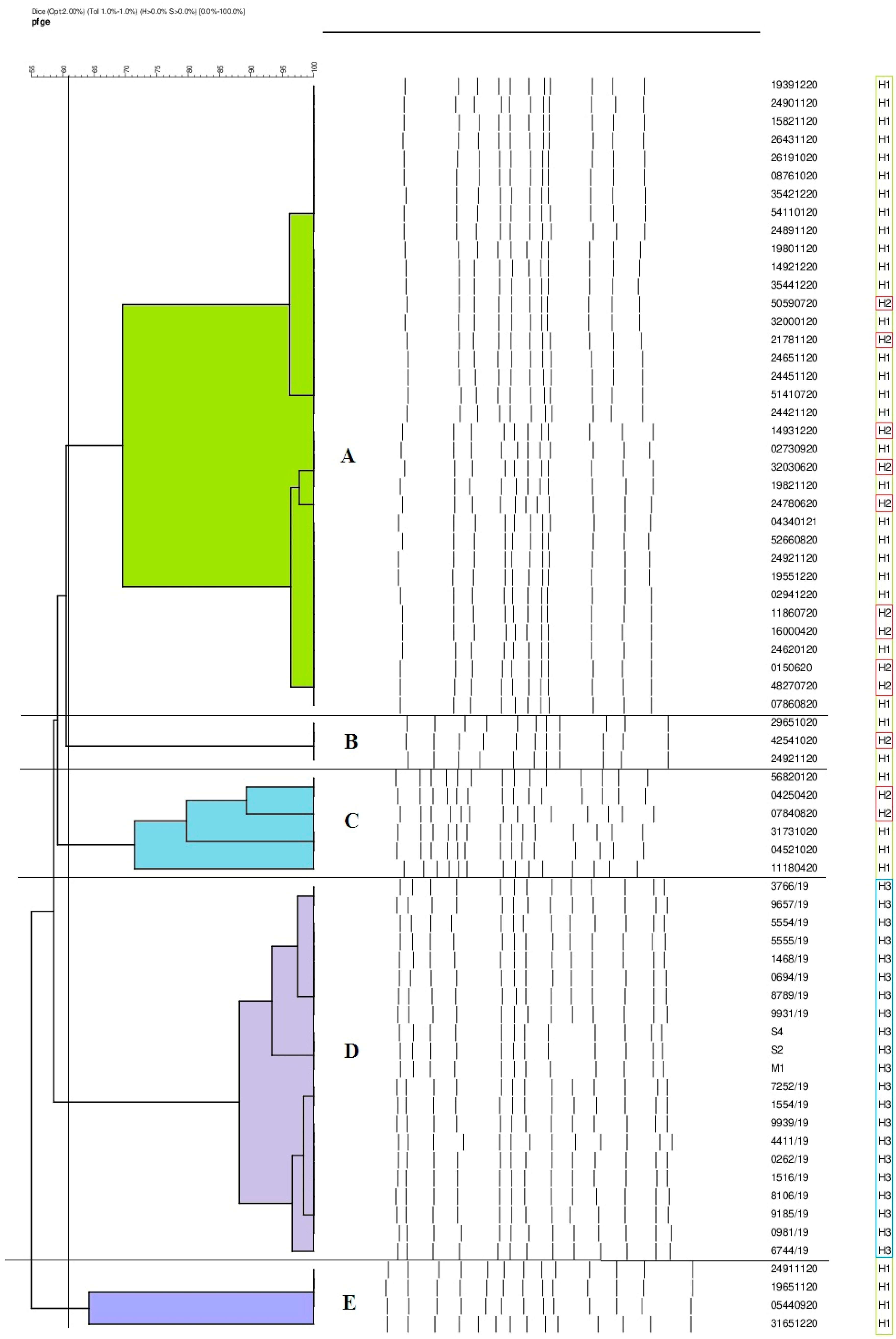 Antibiotics 12 01224 g002 Antibiotics 12 01224 g002