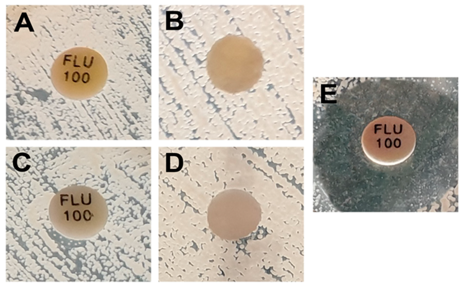 Antibiotics 12 01230 g001 Antibiotics 12 01230 g001