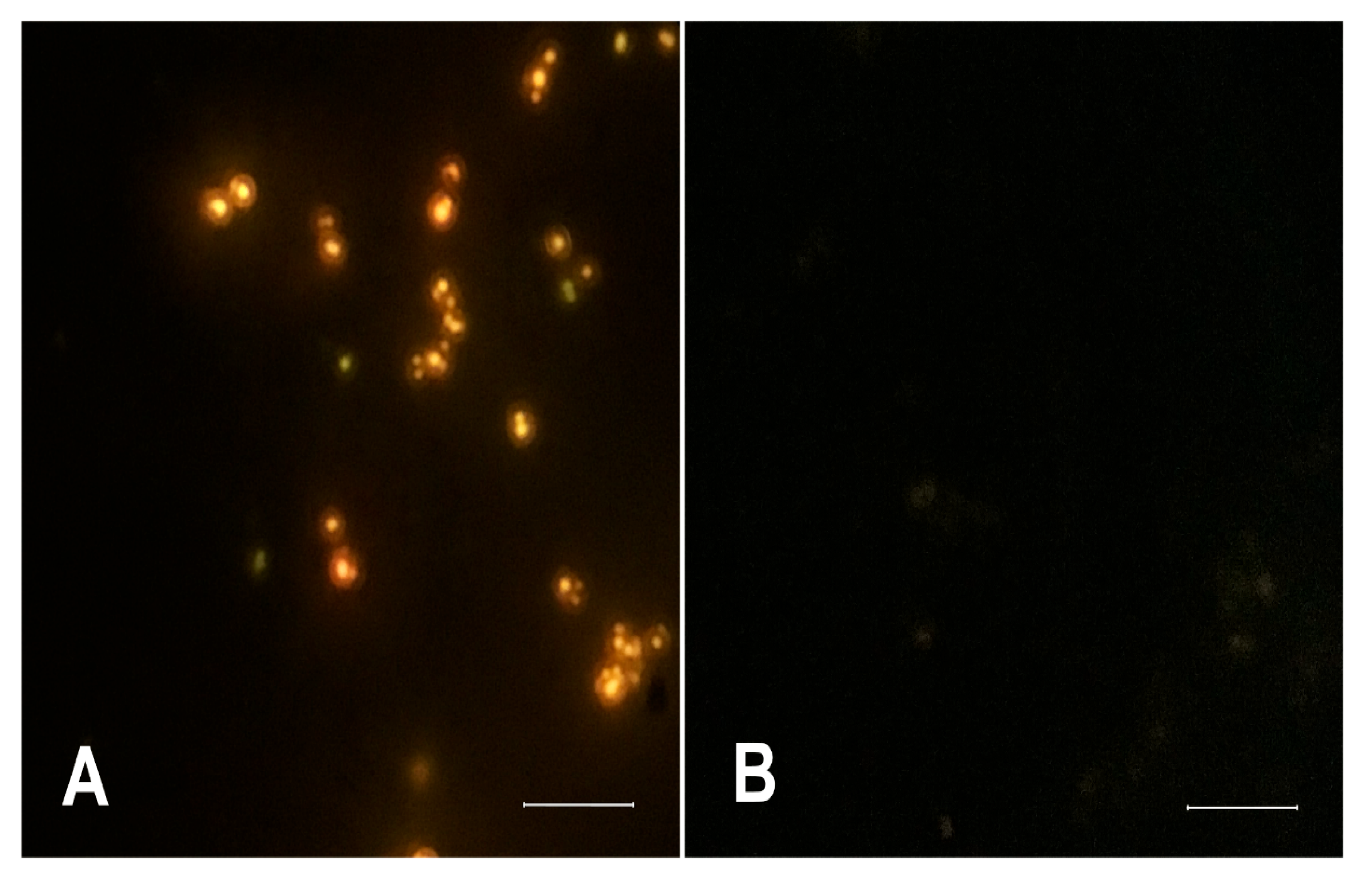 Antibiotics 12 01230 g002 Antibiotics 12 01230 g002