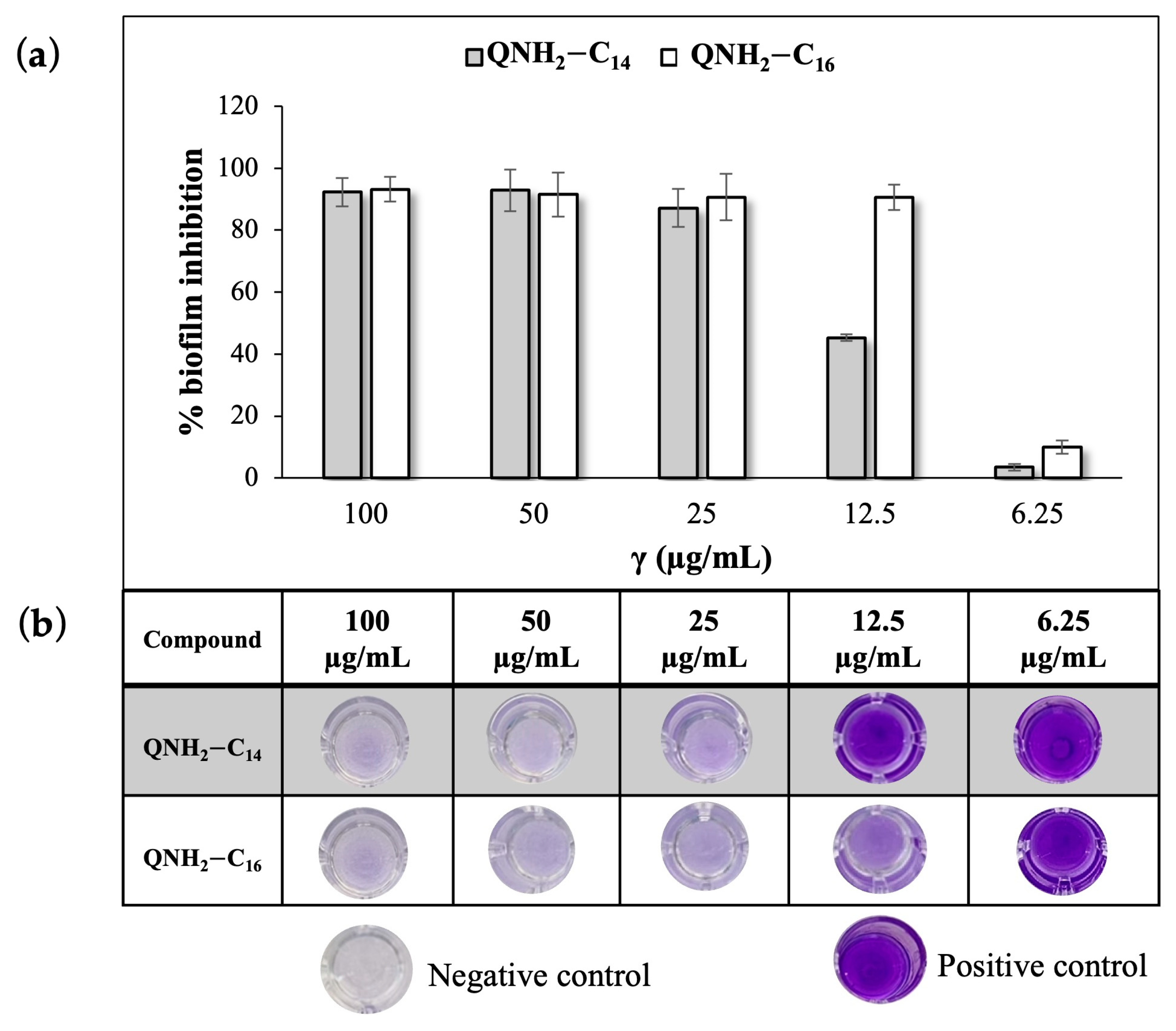 Antibiotics 12 01231 g001 Antibiotics 12 01231 g001
