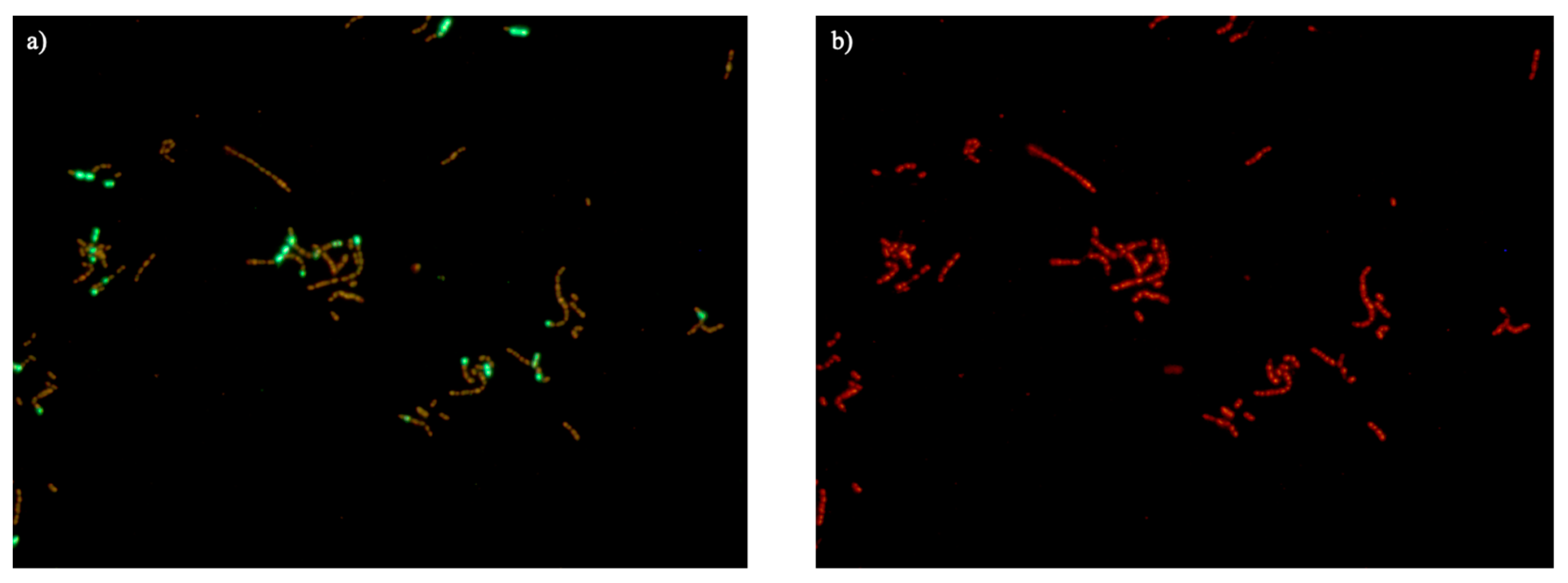 Antibiotics 12 01231 g005 Antibiotics 12 01231 g005