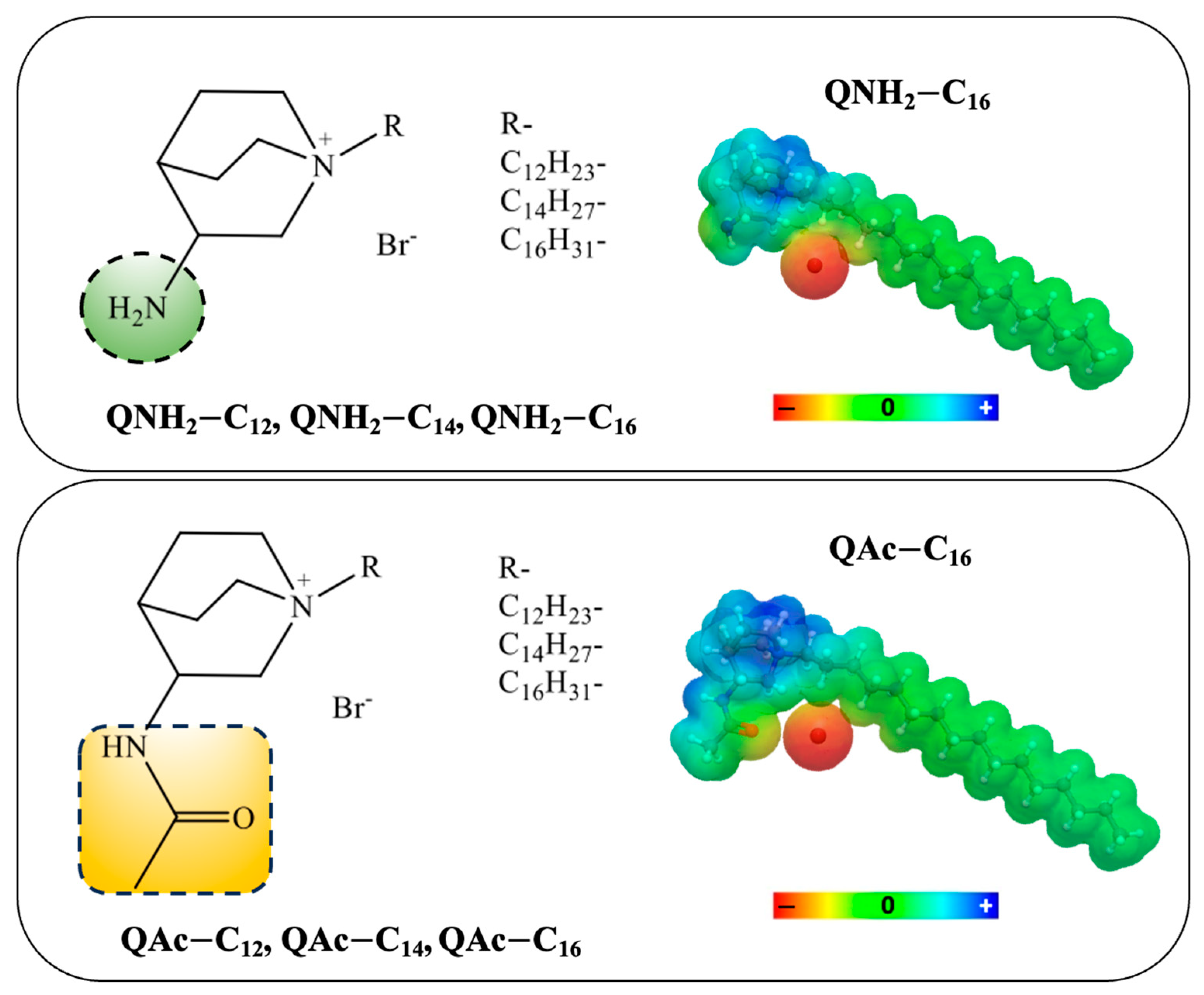 Antibiotics 12 01231 sch002 Antibiotics 12 01231 sch002