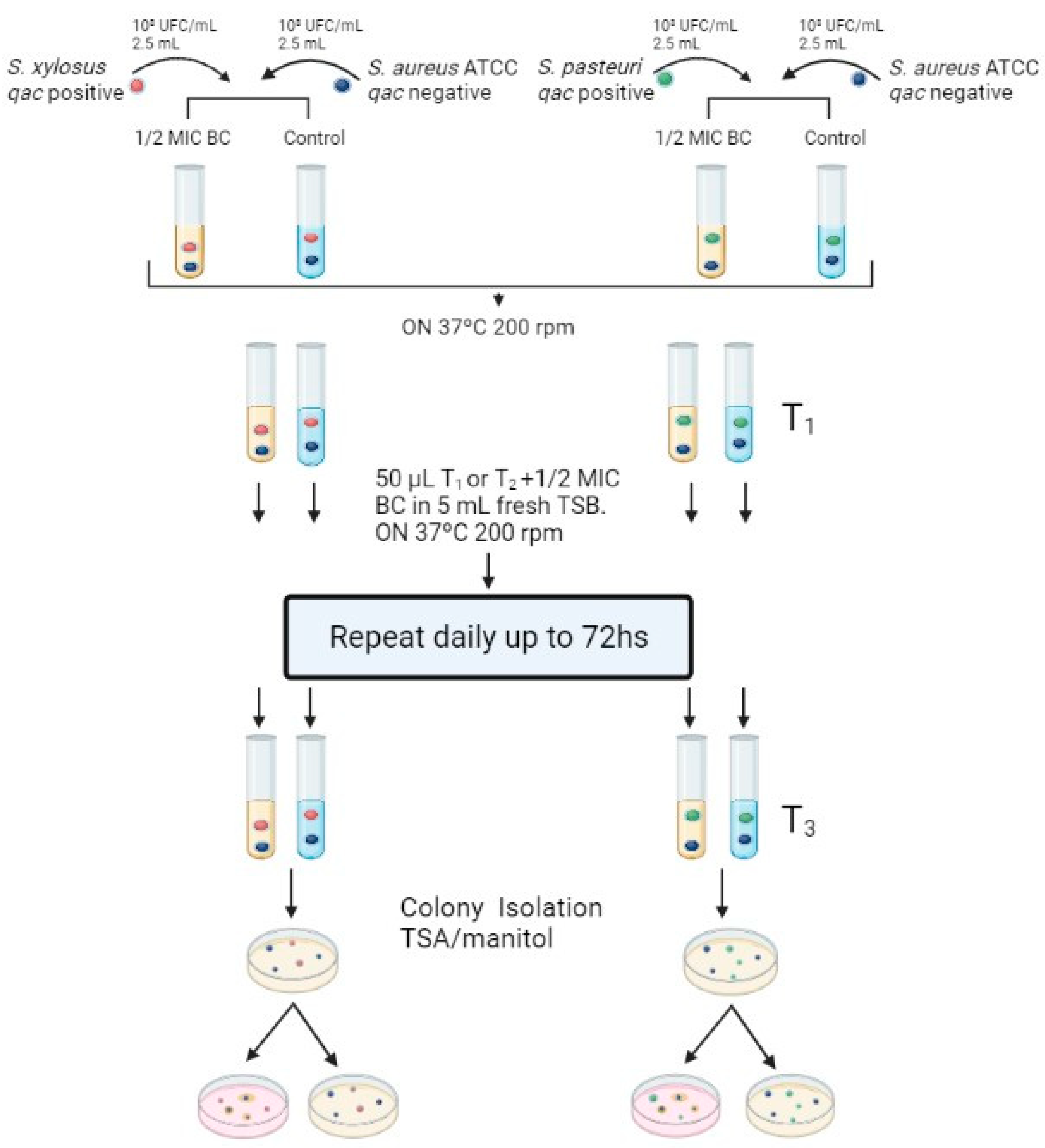 Antibiotics 12 01244 g001 Antibiotics 12 01244 g001