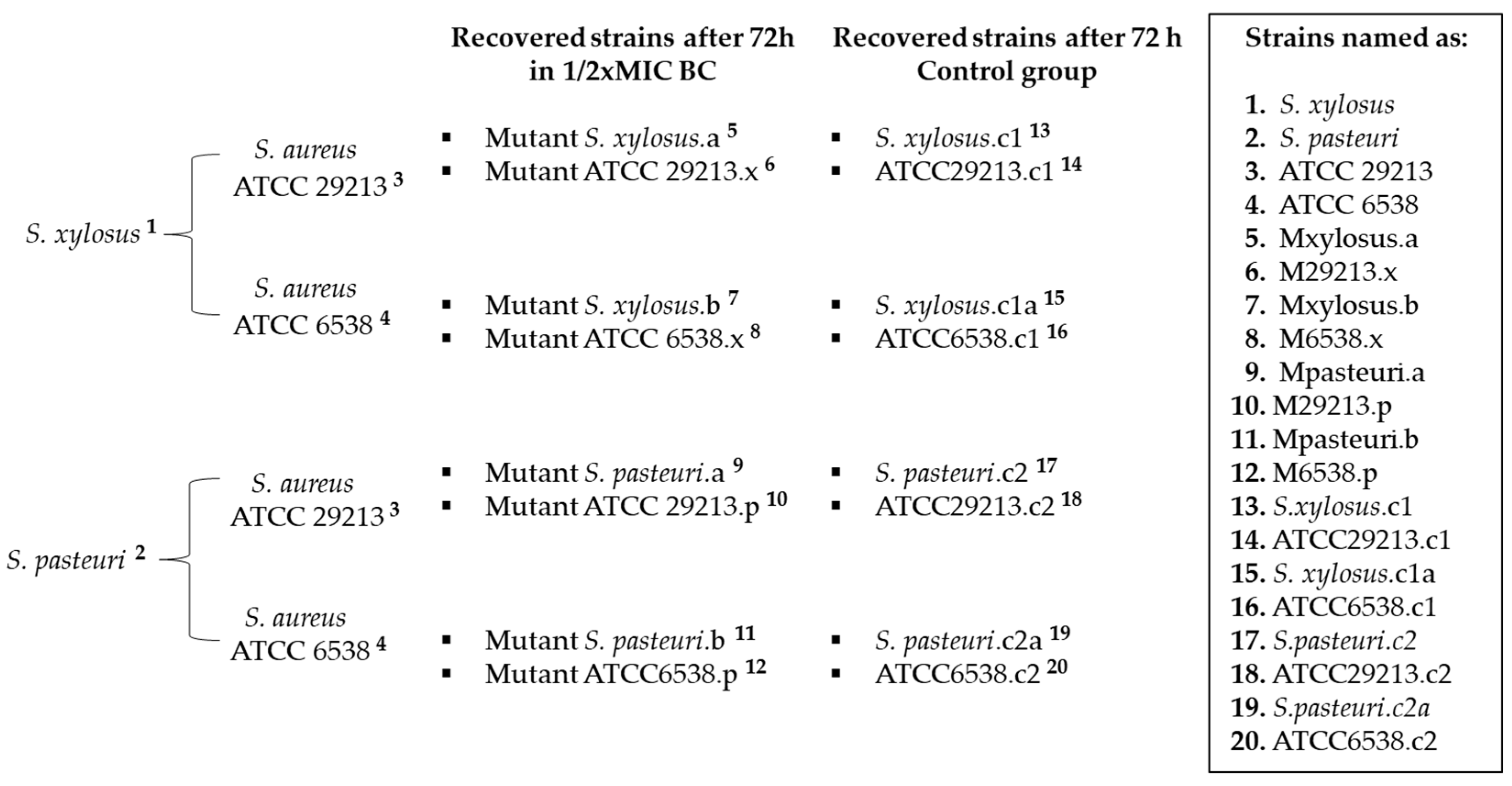 Antibiotics 12 01244 g002 Antibiotics 12 01244 g002