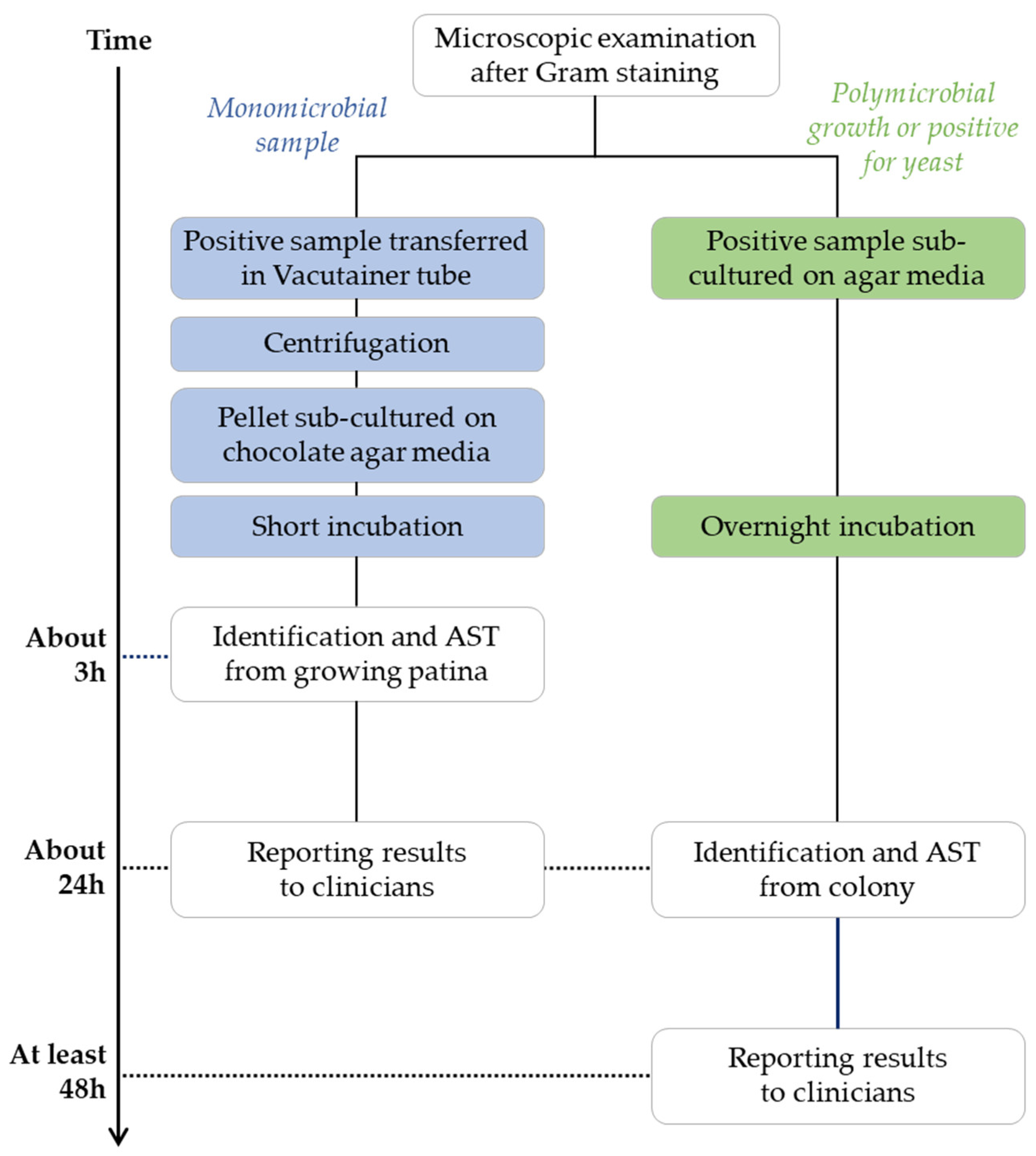 Antibiotics 12 01247 g001