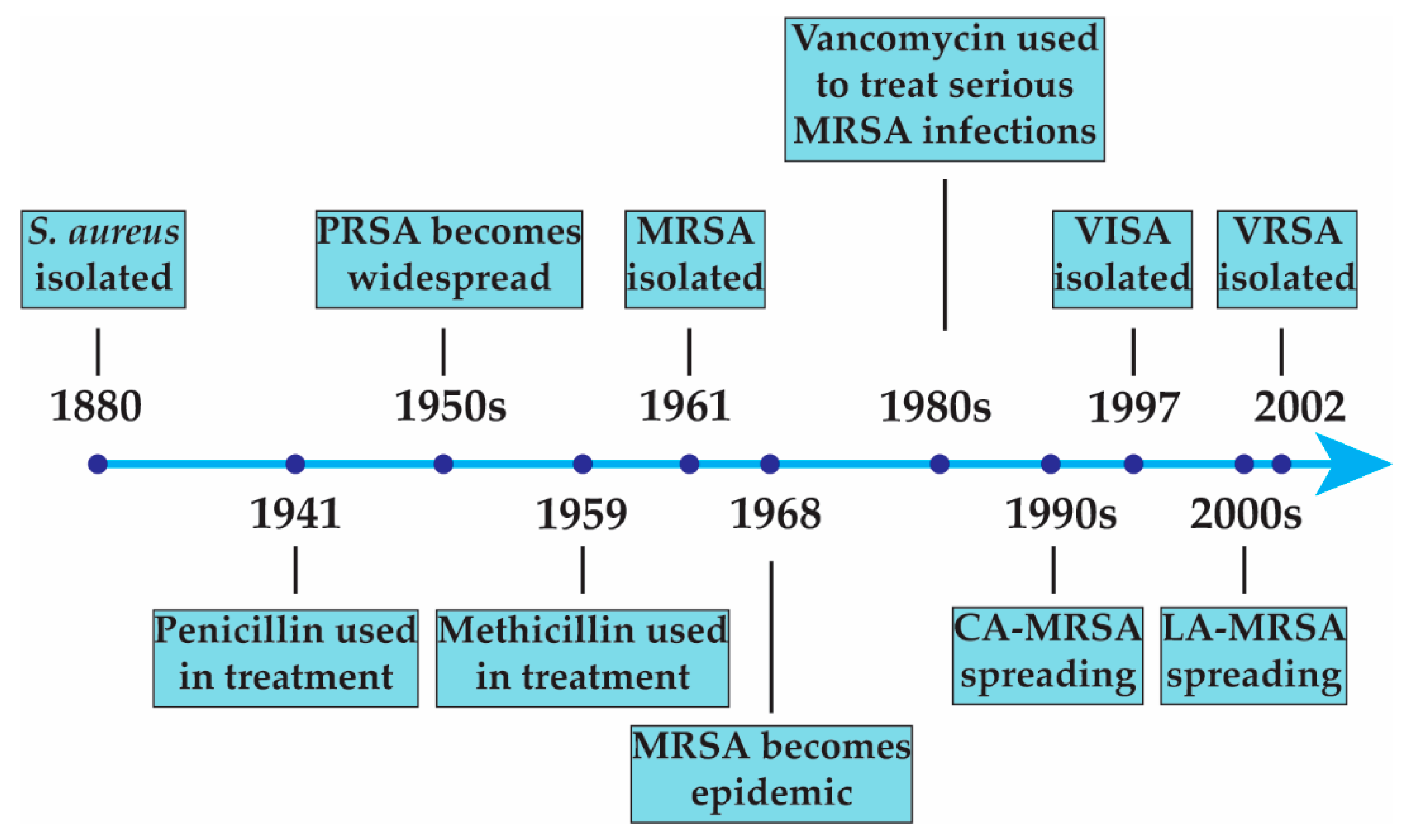 Antibiotics 12 01256 g001