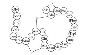 Antibiotics 12 01256 i009