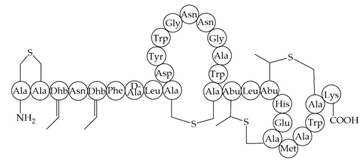 Antibiotics 12 01256 i010