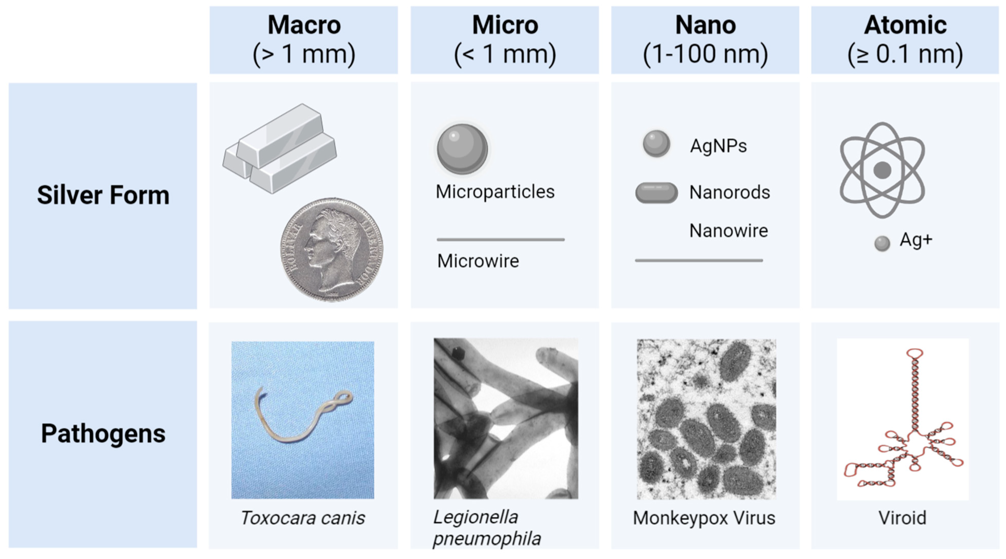 Antibiotics 12 01264 g002 Antibiotics 12 01264 g002