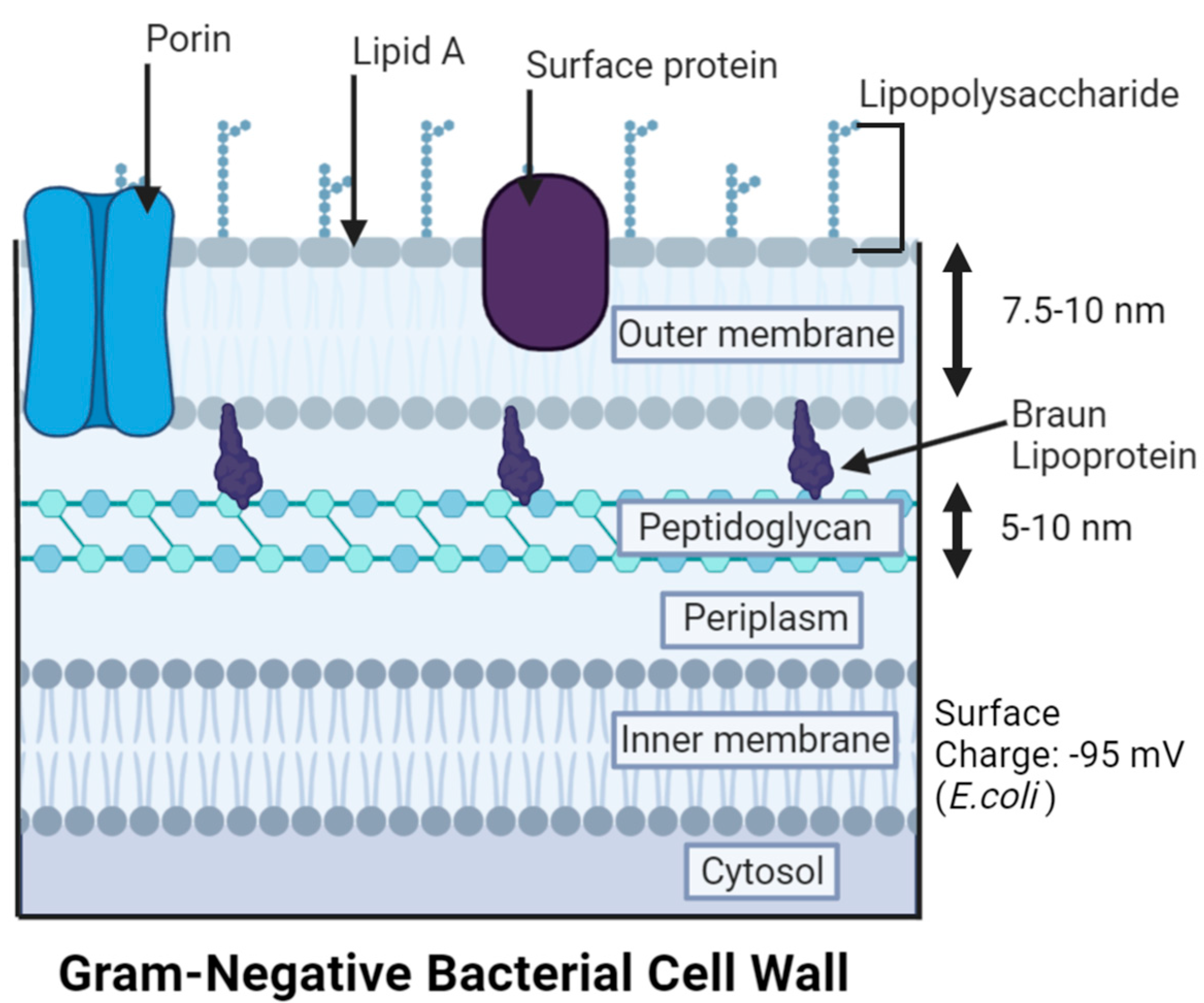 Antibiotics 12 01264 g005 Antibiotics 12 01264 g005