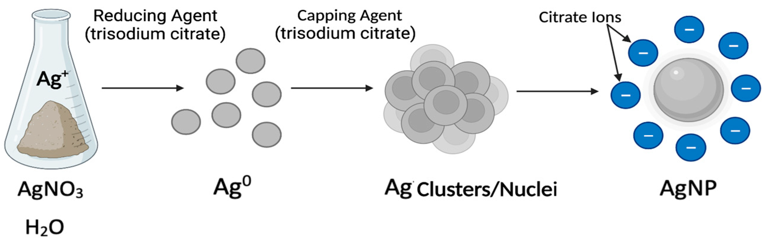 Antibiotics 12 01264 g007 Antibiotics 12 01264 g007