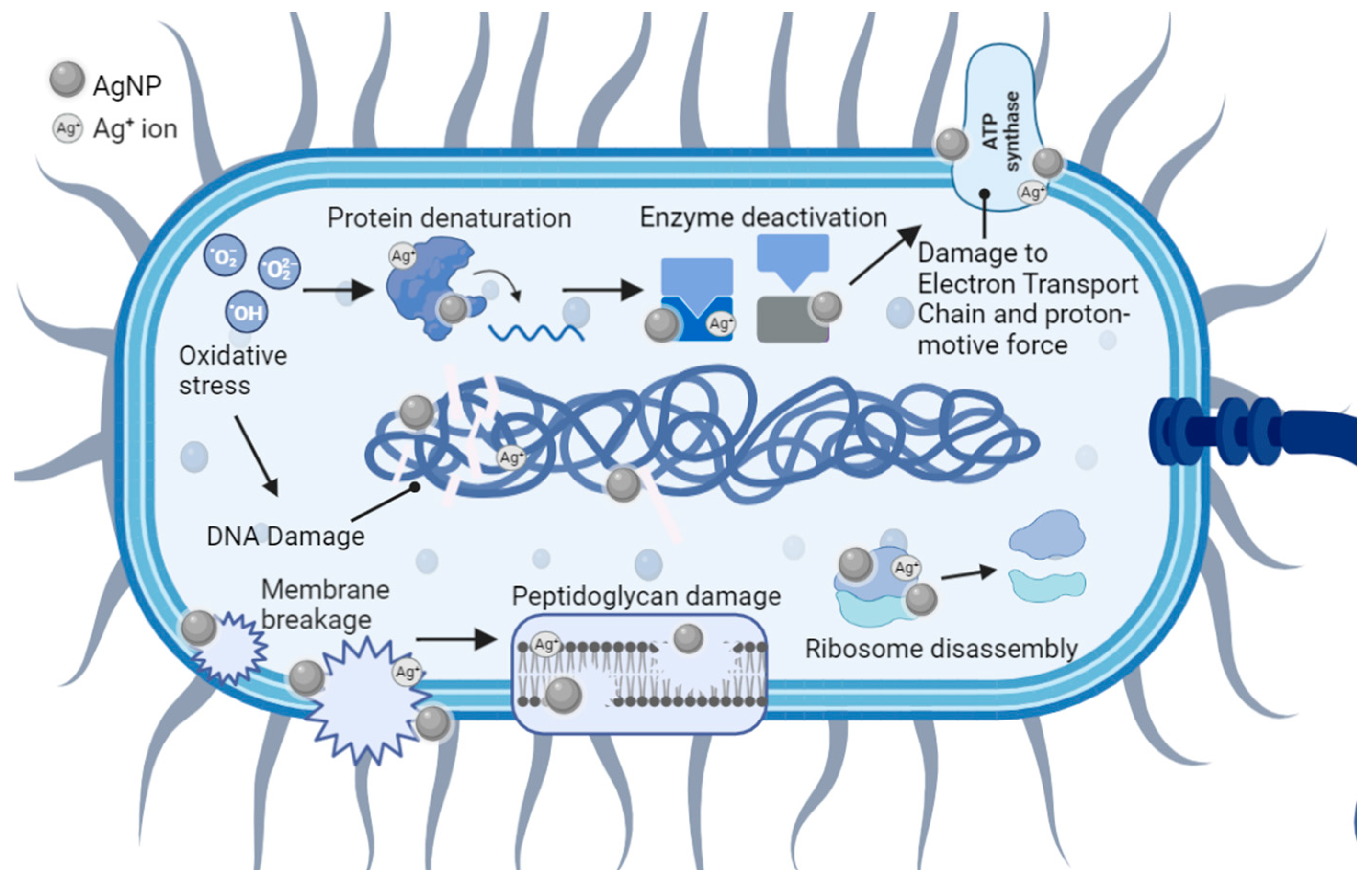Antibiotics 12 01264 g009 Antibiotics 12 01264 g009