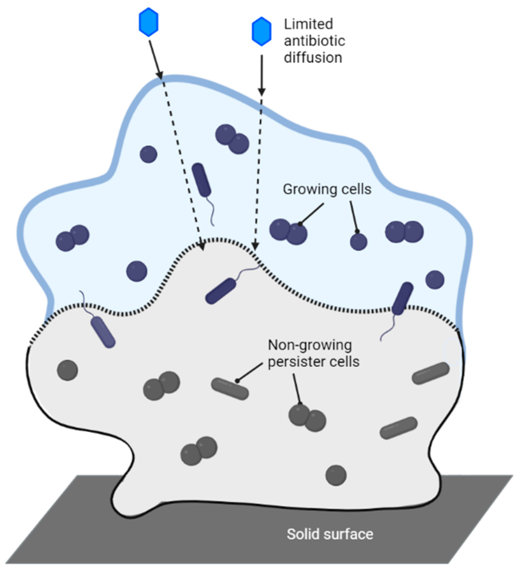 Antibiotics 12 01264 g012 Antibiotics 12 01264 g012