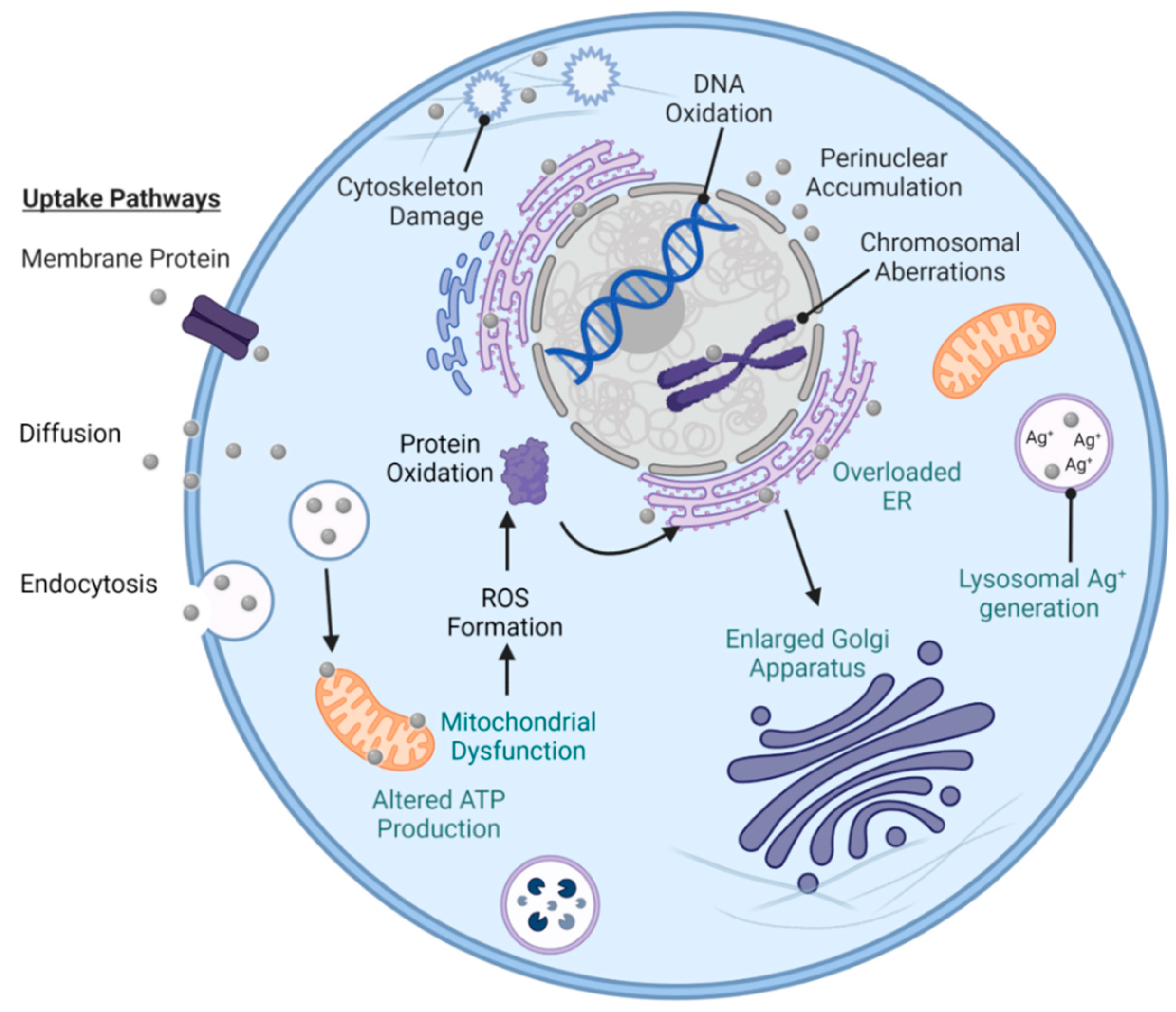 Antibiotics 12 01264 g014 Antibiotics 12 01264 g014