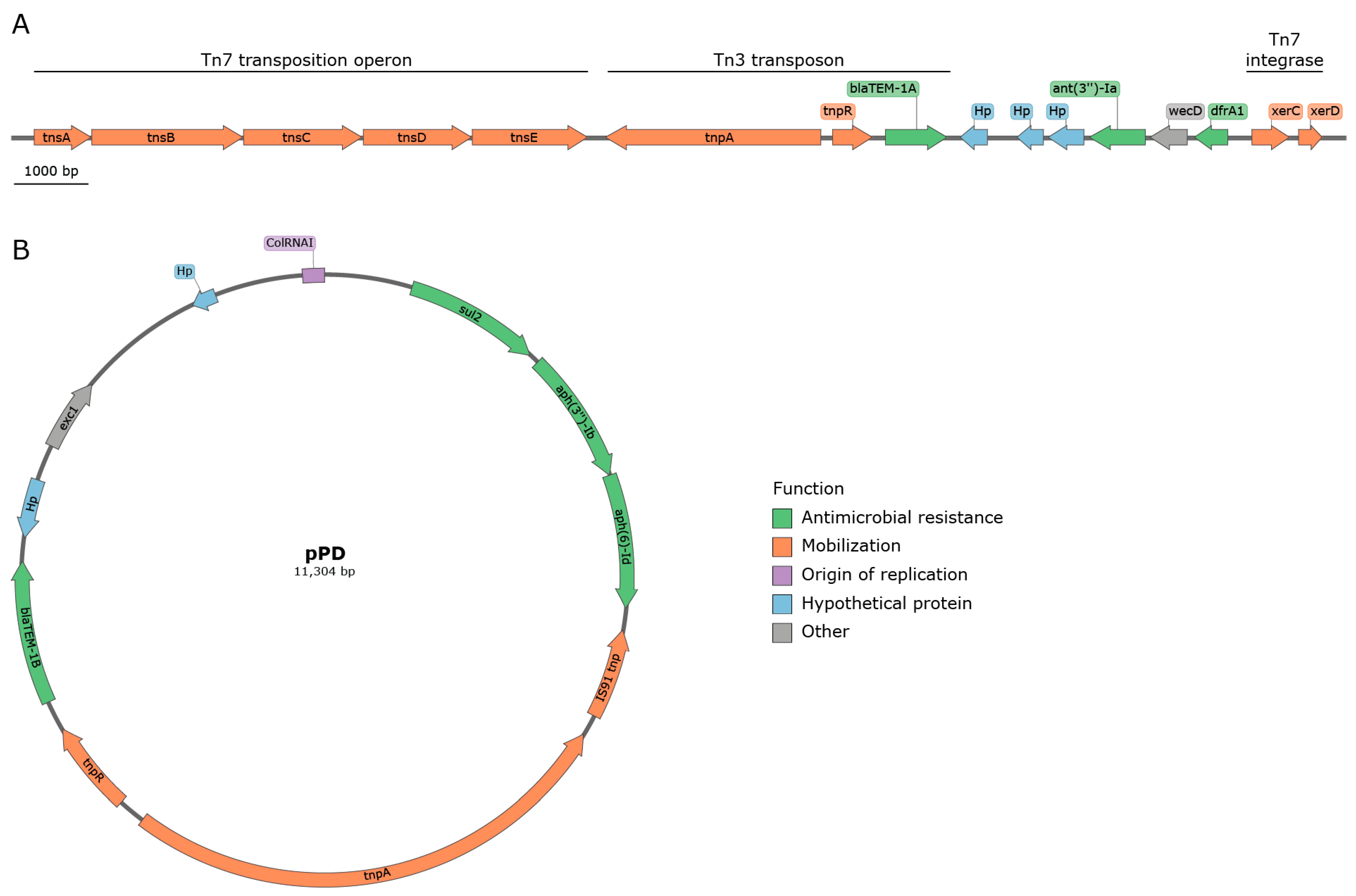 Antibiotics 12 01269 g002