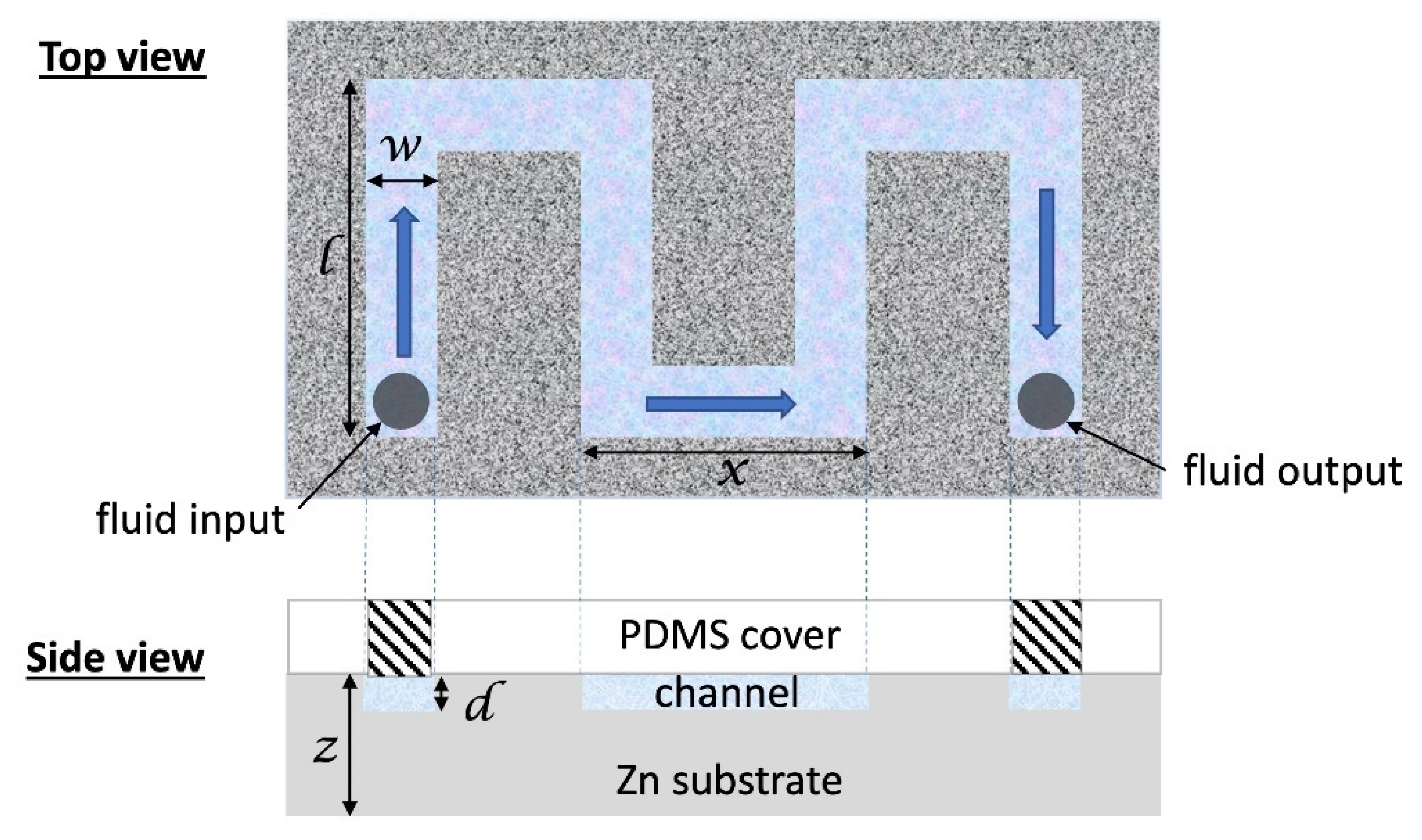 Antibiotics 12 01276 g008
