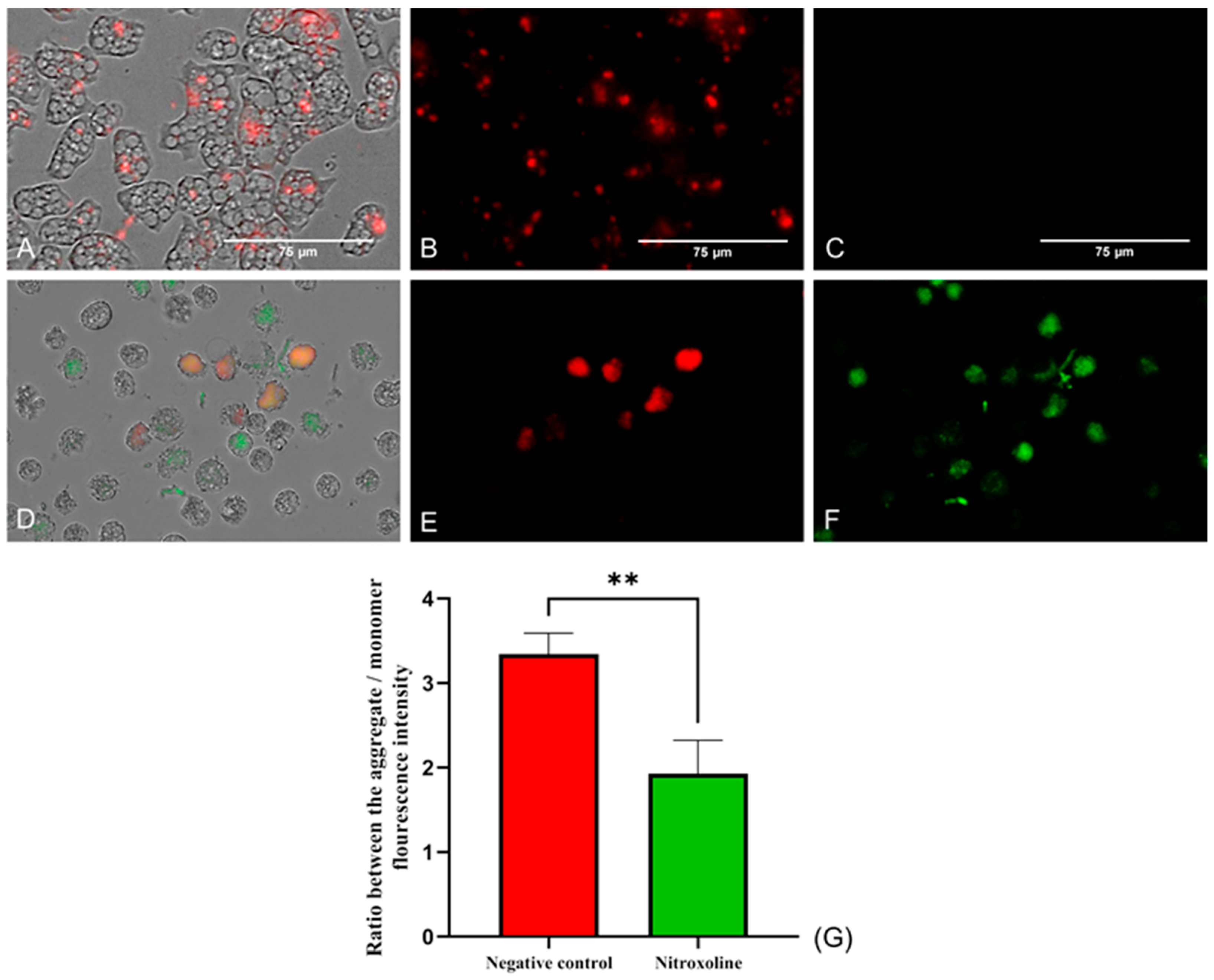Antibiotics 12 01280 g005 Antibiotics 12 01280 g005