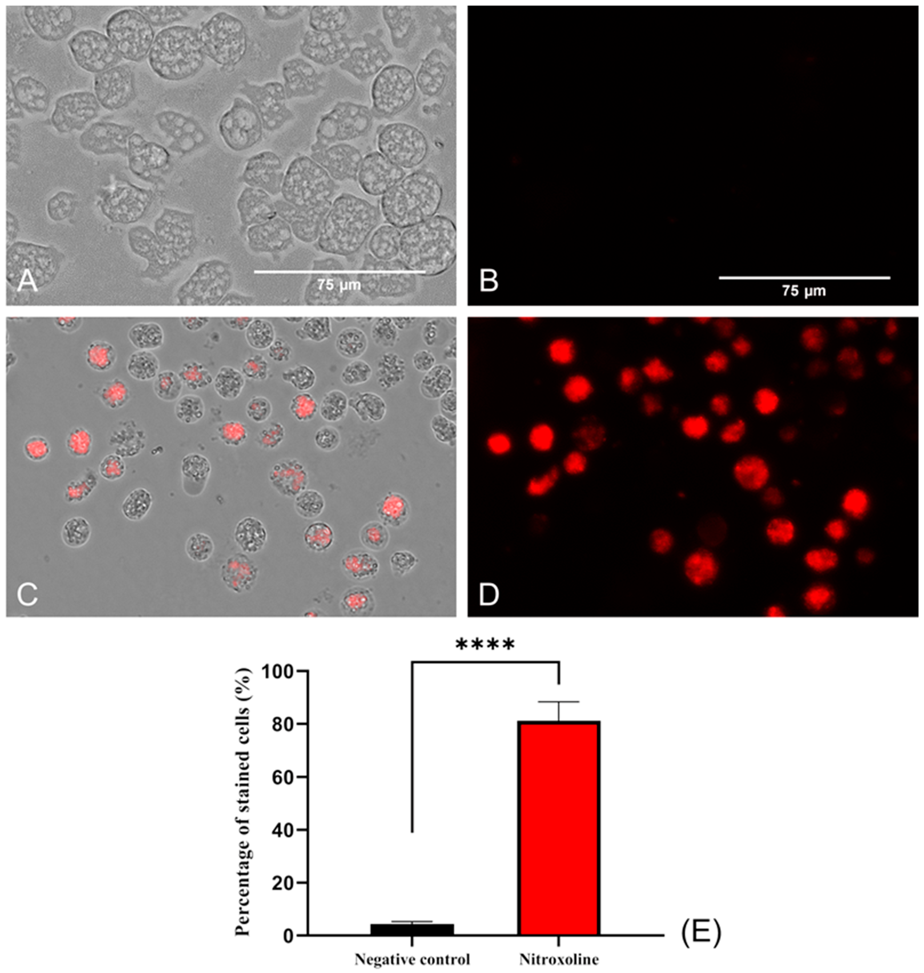Antibiotics 12 01280 g007 Antibiotics 12 01280 g007