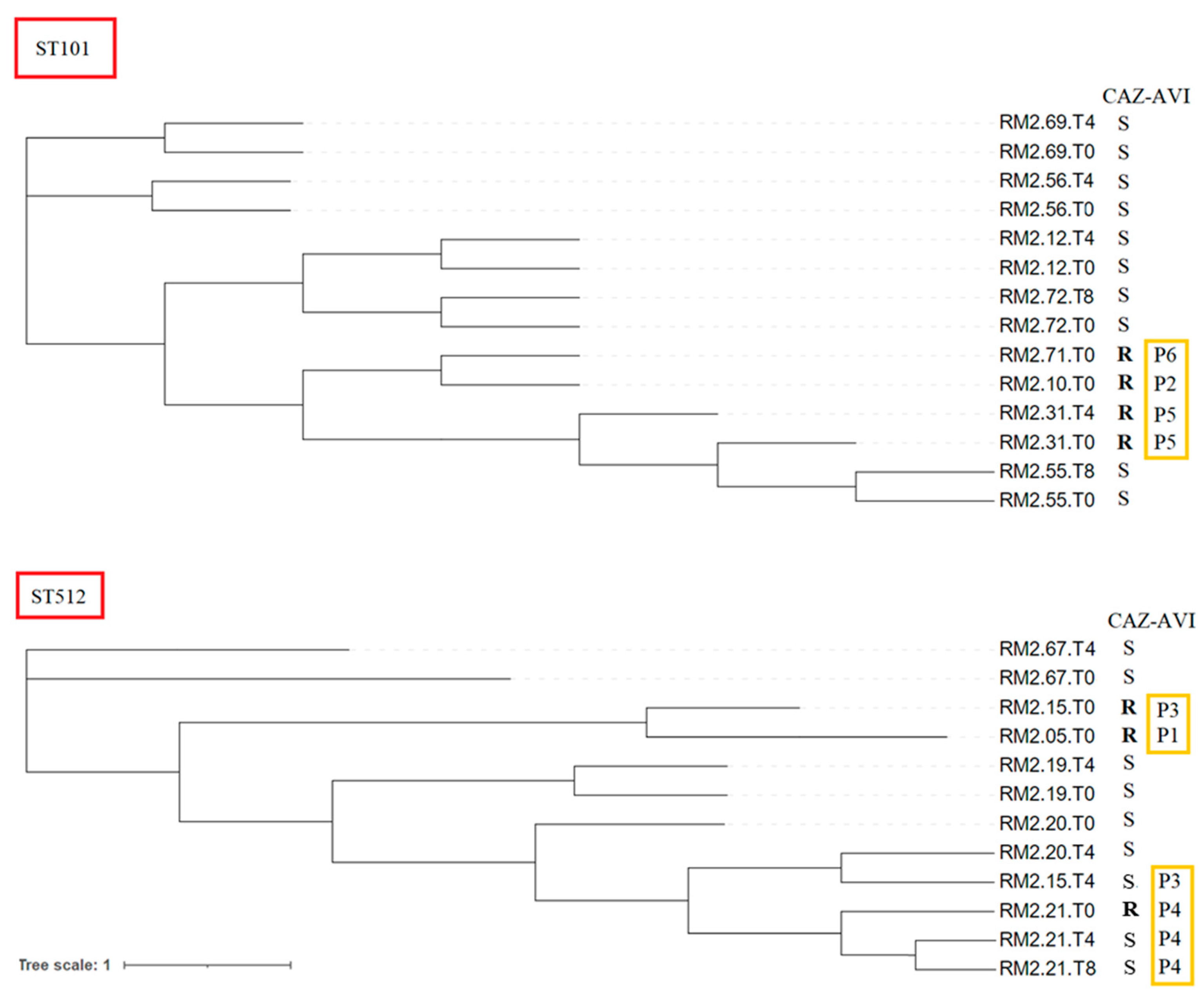 Antibiotics 12 01282 g002 Antibiotics 12 01282 g002