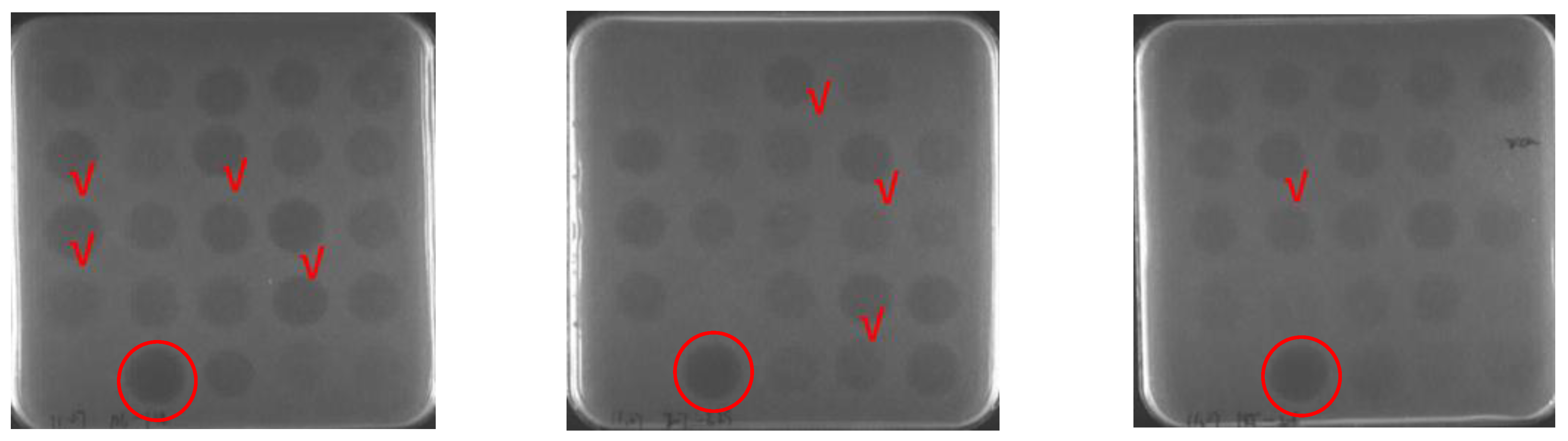 Antibiotics 12 01283 g003 Antibiotics 12 01283 g003