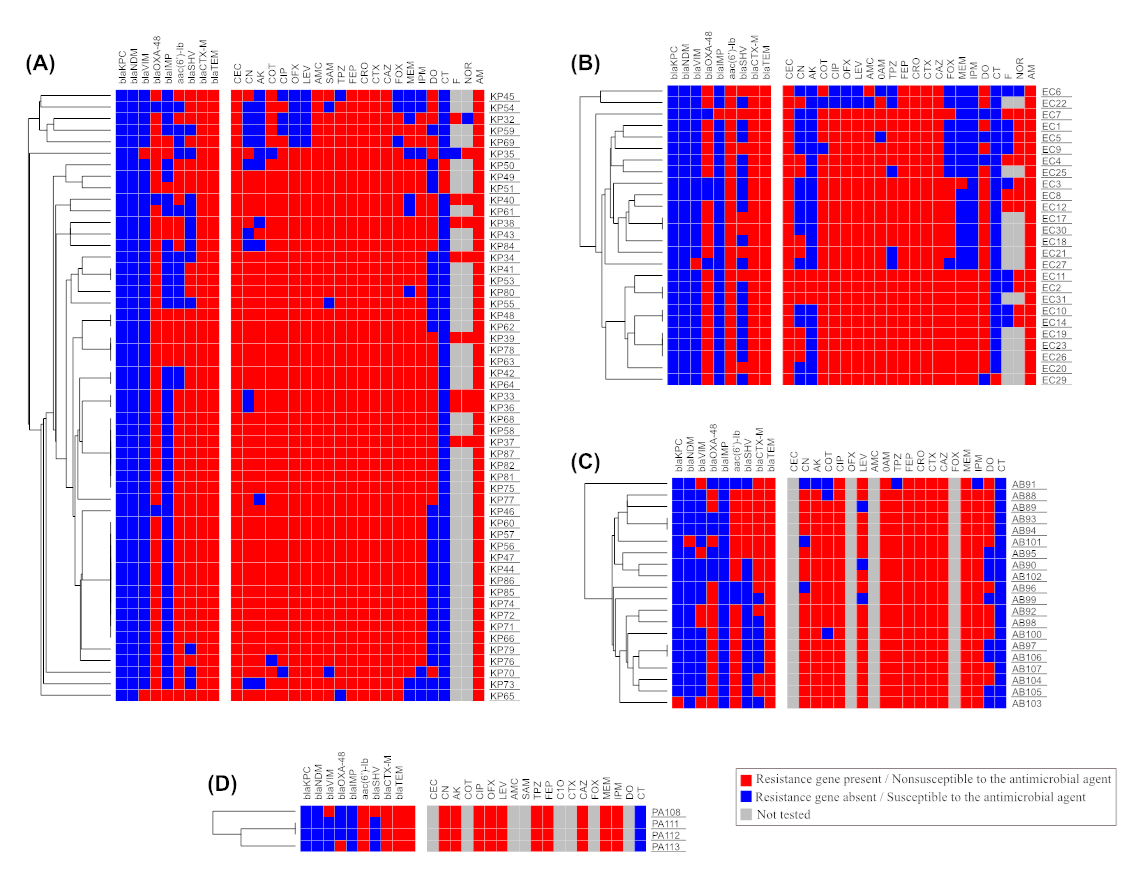 Antibiotics 12 01294 g008
