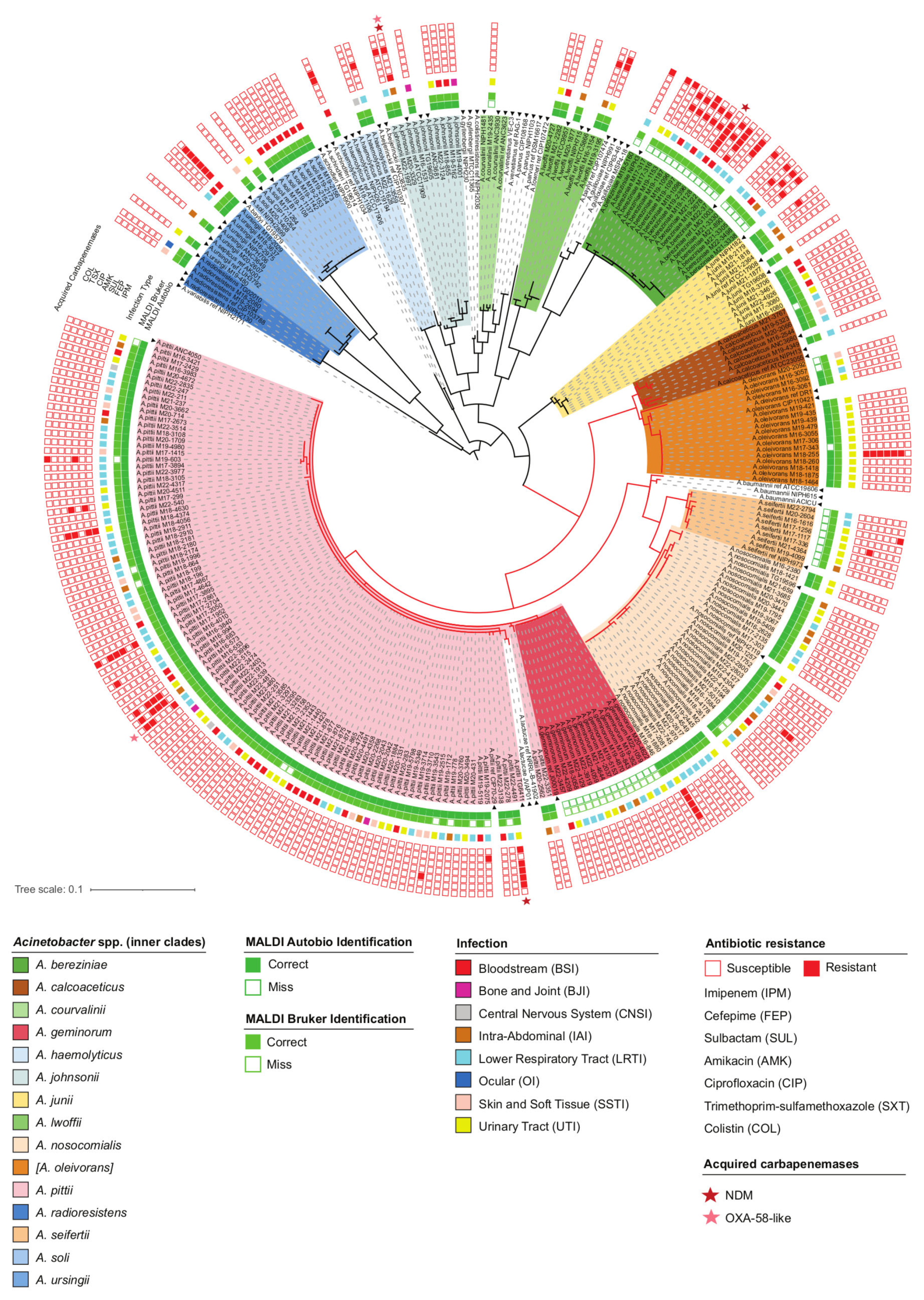 Antibiotics 12 01301 g001