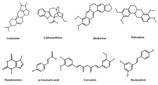 ラストホールド Bore and Stoke Ep 11: So Many New Bikes! | Motorcycle.com