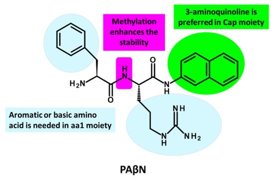 The Art of War with Pseudomonas aeruginosa: Targeting Mex