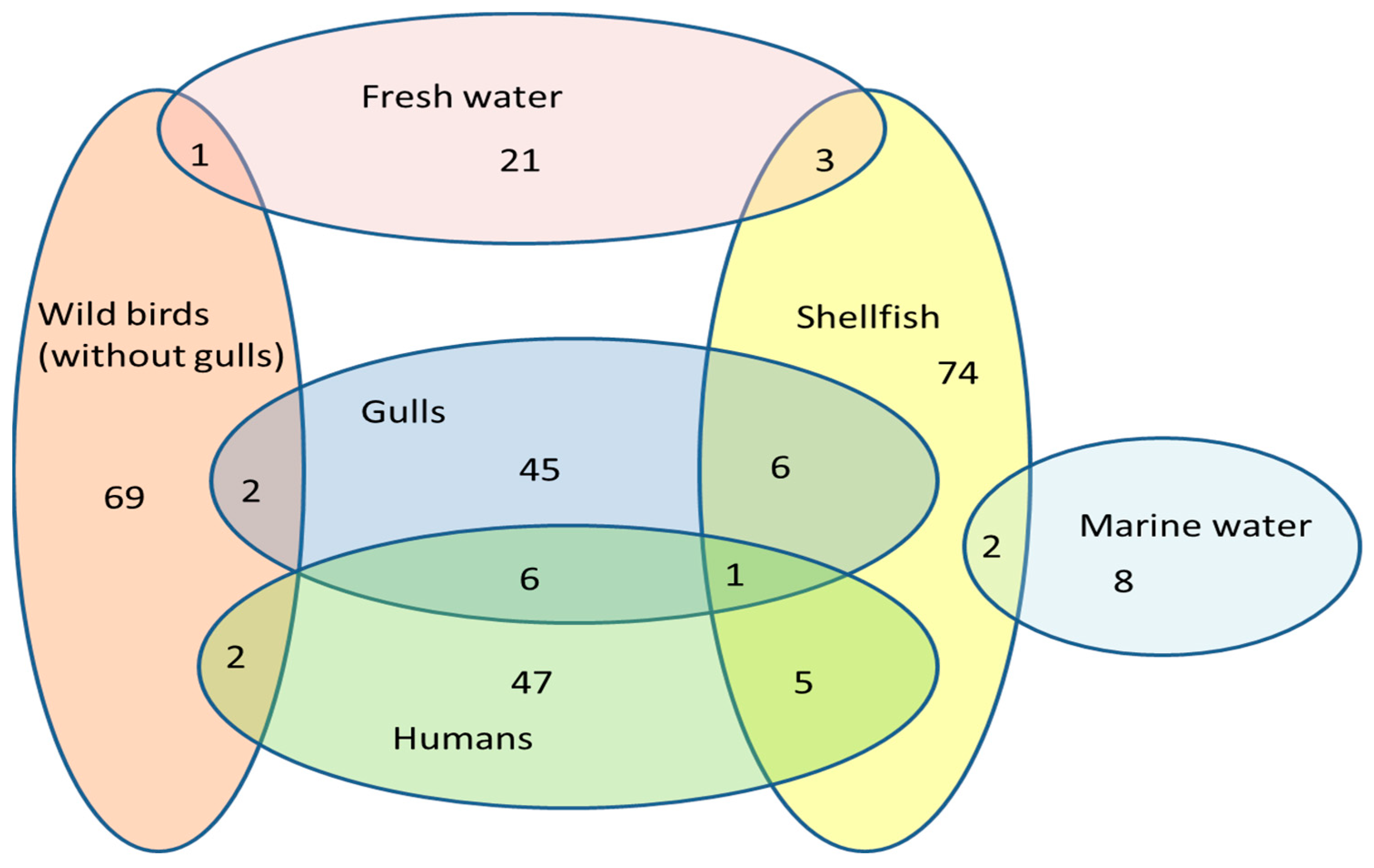 Antibiotics 12 01310 g001