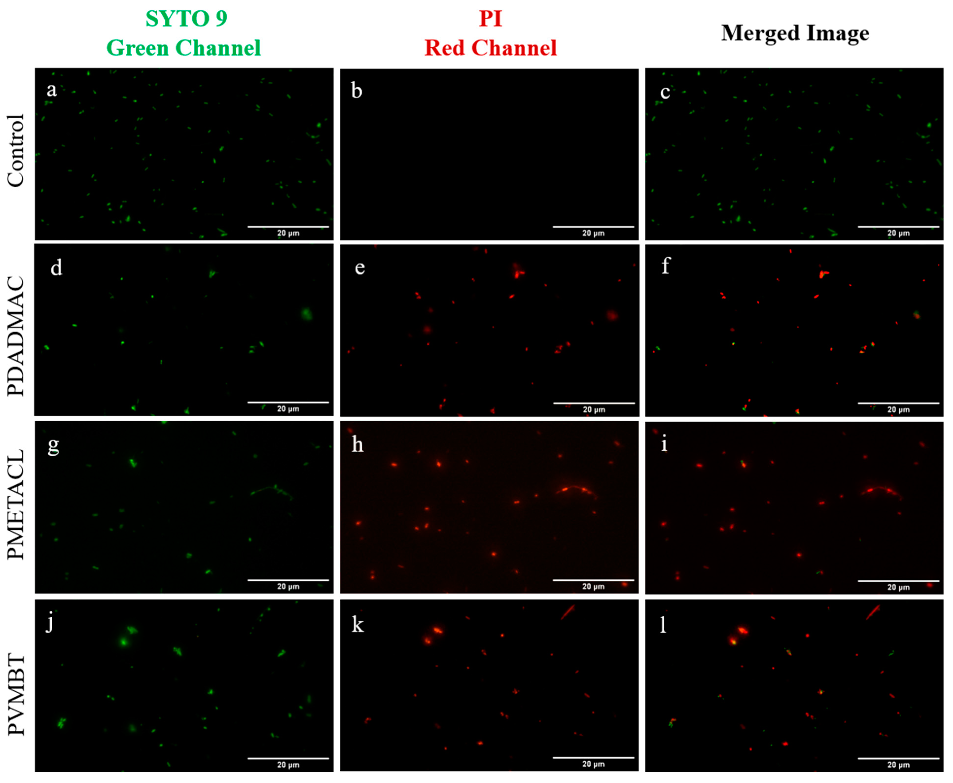 Antibiotics 12 01320 g002